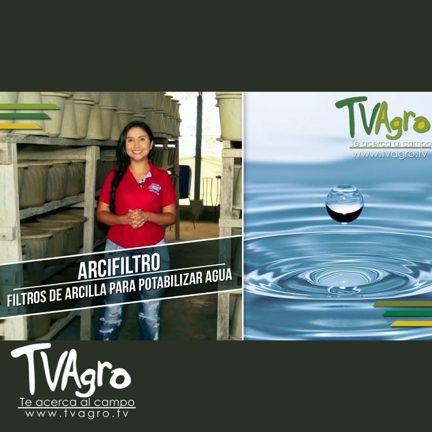 TV AGRO