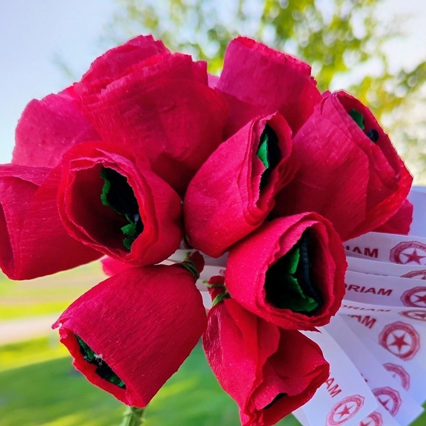 American Legion Auxiliary distributes poppies on National Poppy Day to support veterans episode artwork