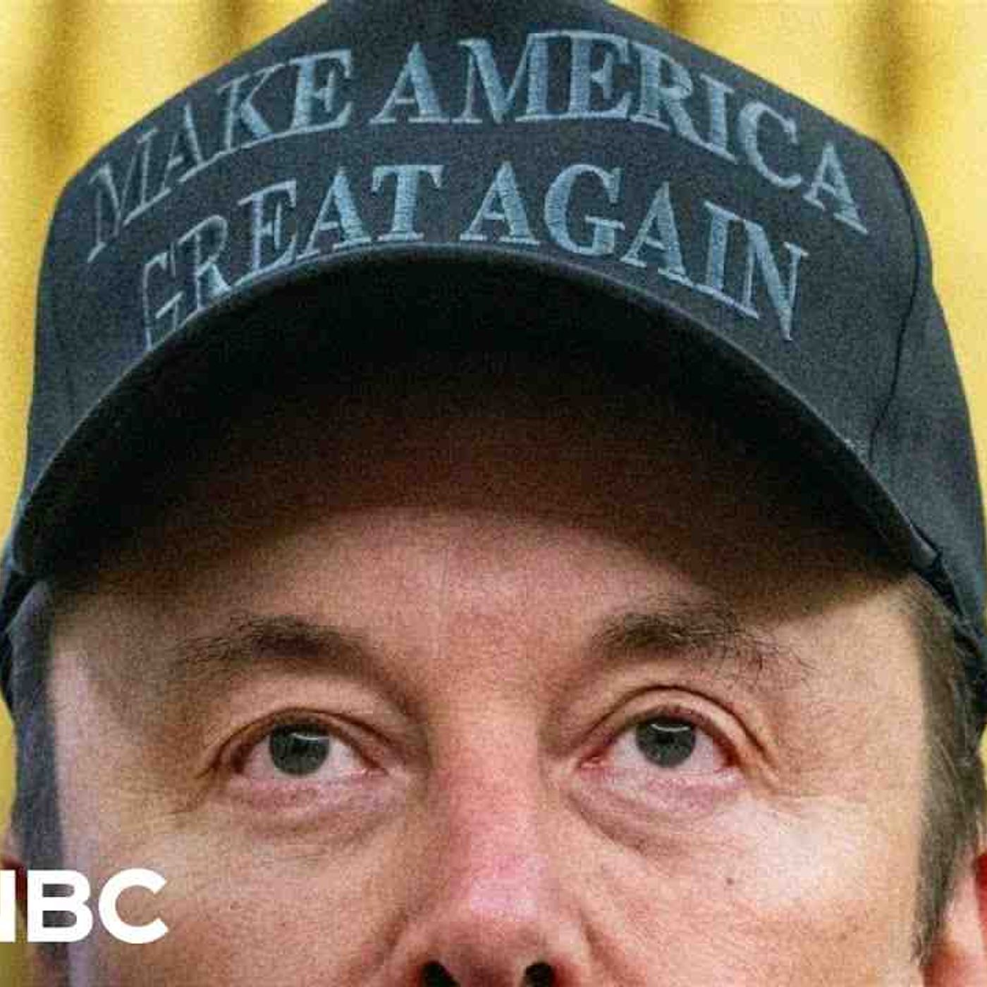 _This is not the end__ How Elon Musk has impacted U.S. with DOGE efforts(MP3_160K) episode artwork