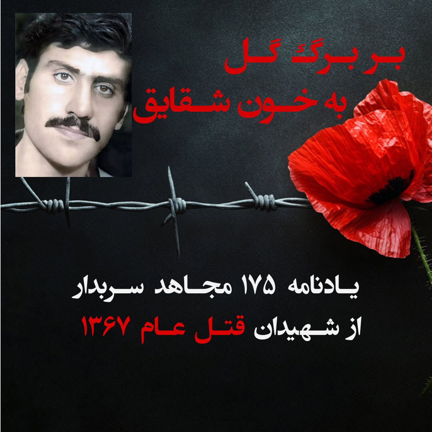 بربرگ گل به خون شقایق- محمدرضا حجازی