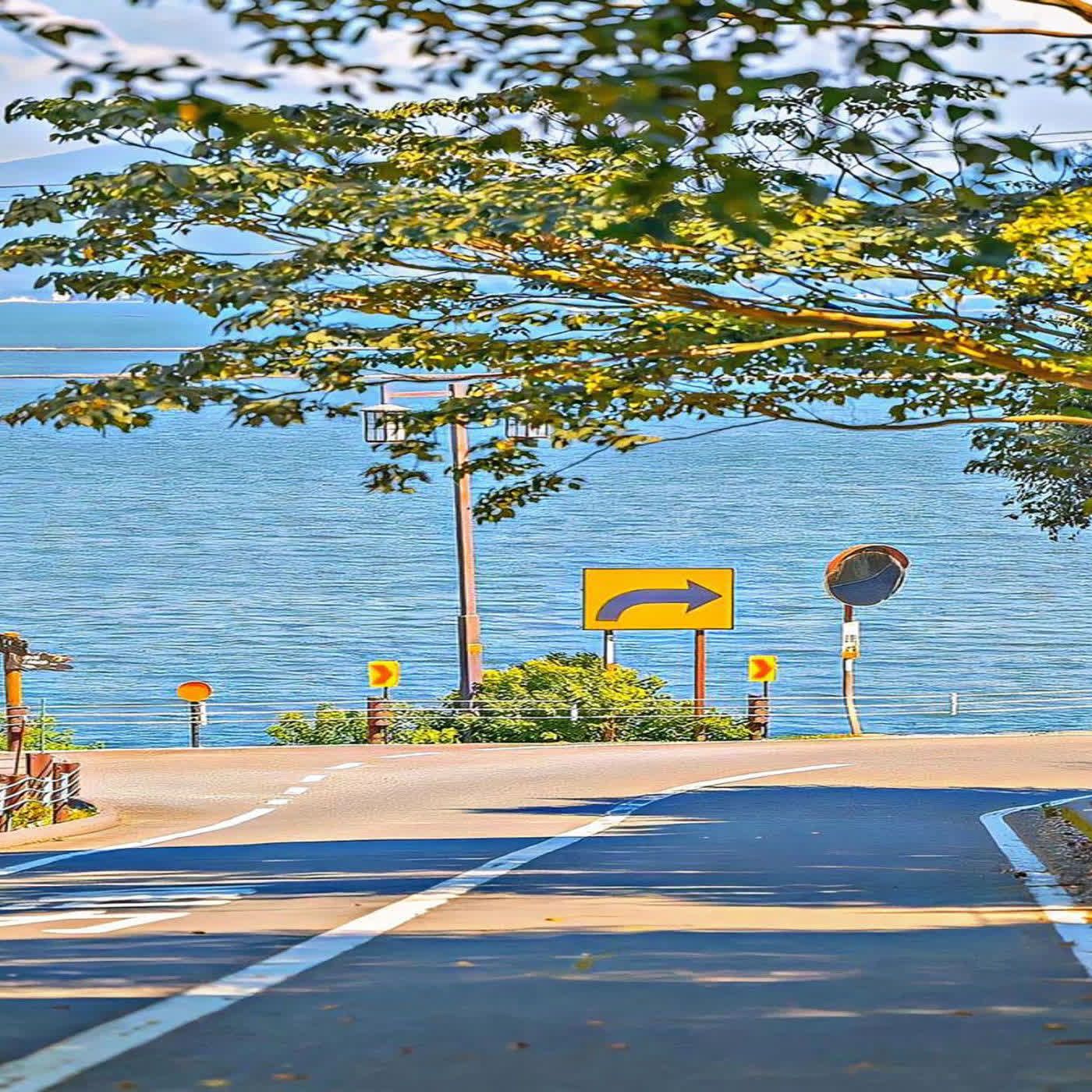 meriyudasik cover art