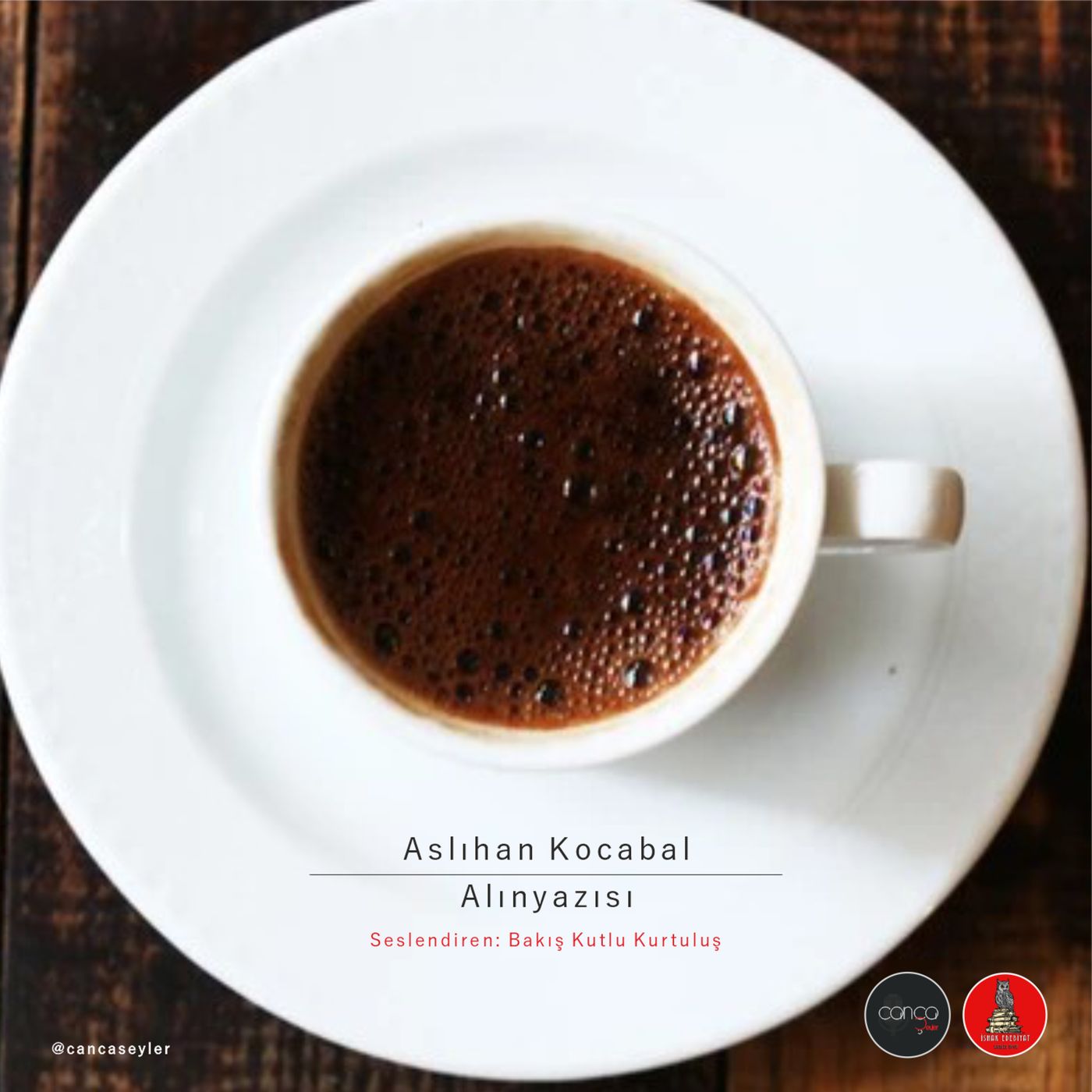 Öykü | Aslıhan Kocabal - Alınyazısı episode artwork