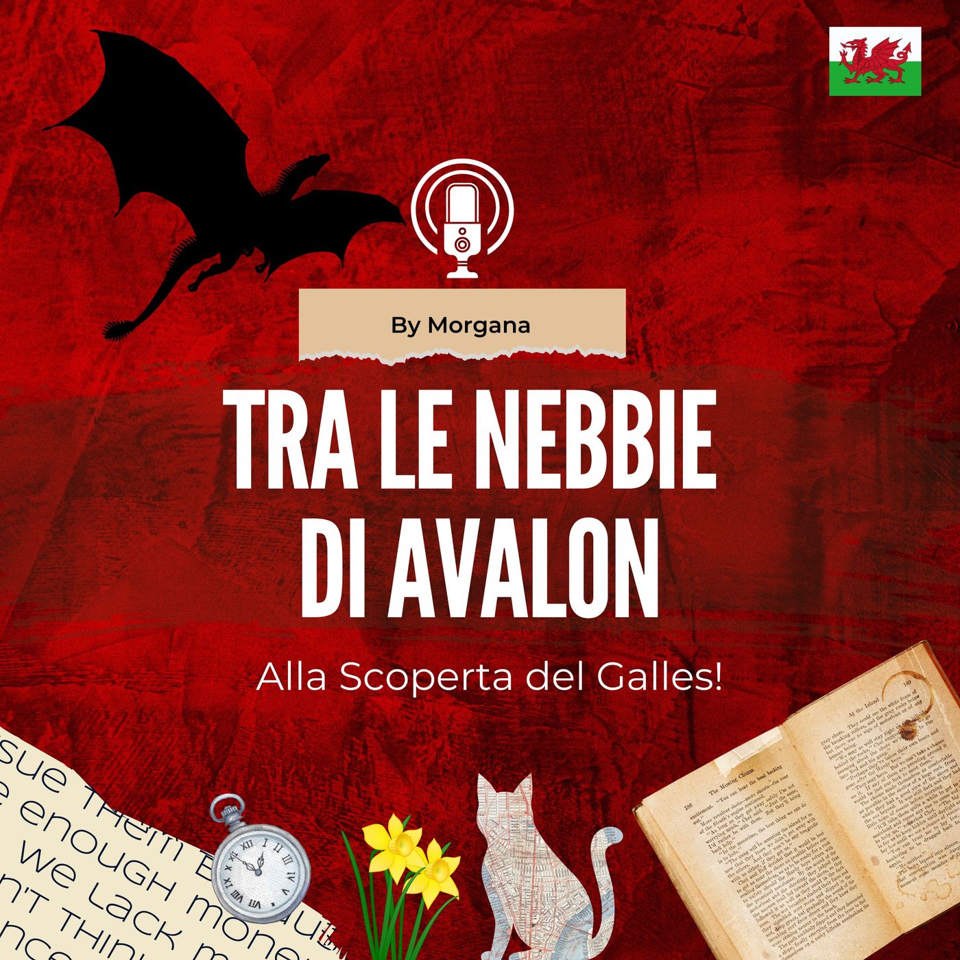 Tra le Nebbie di Avalon