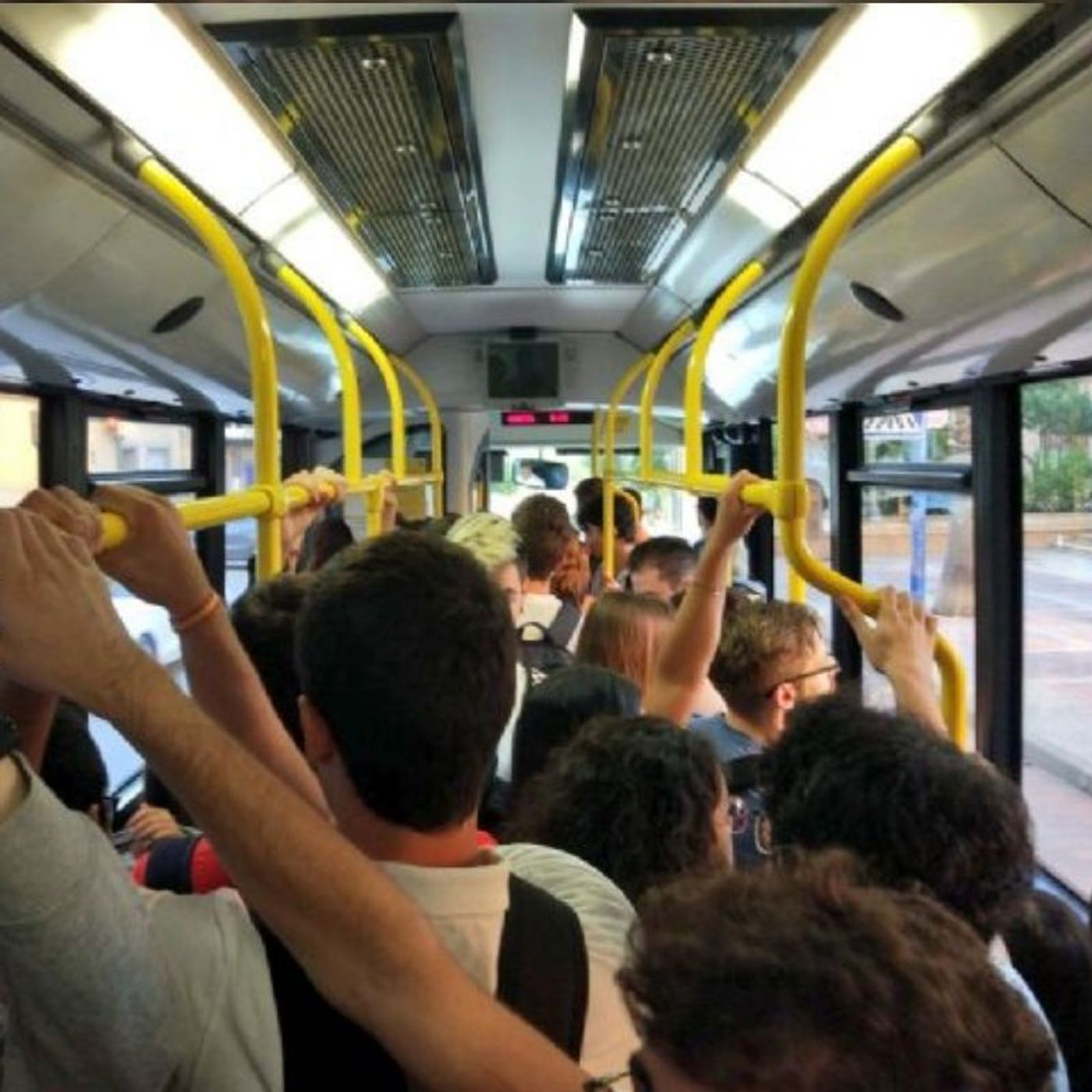 Portada de Los Sobrevivientes de La Z