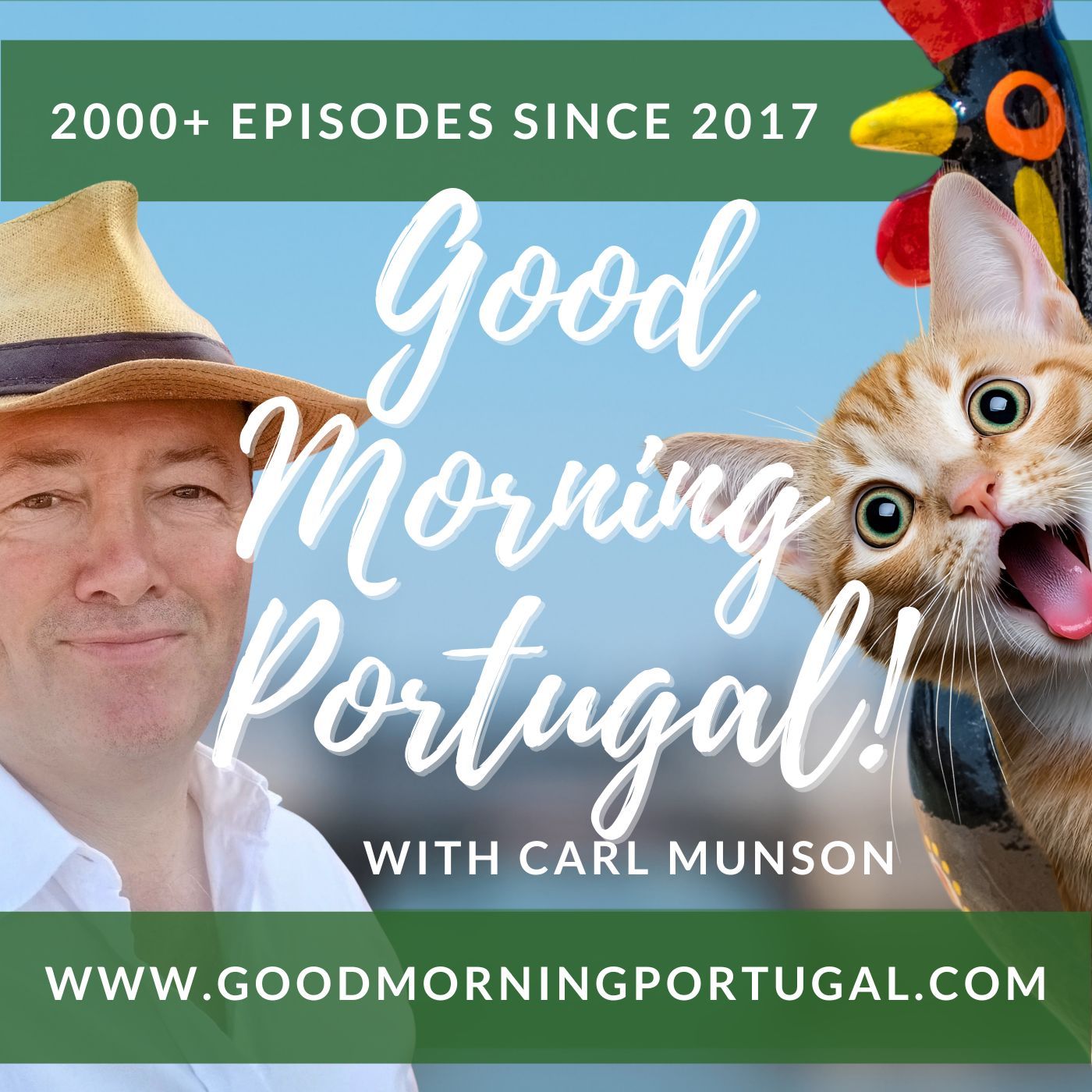 Cat-spiracy Theory (Cont.) It Made Me Break My Neighbour's Tree (Part One) #cats #portugal