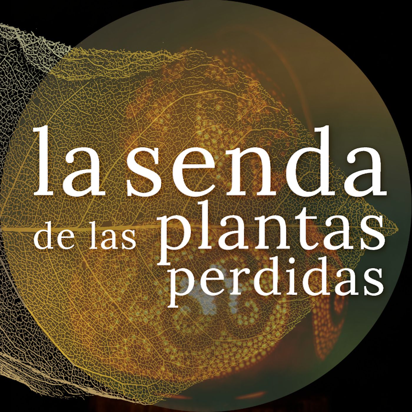 La Senda de las Plantas Perdidas