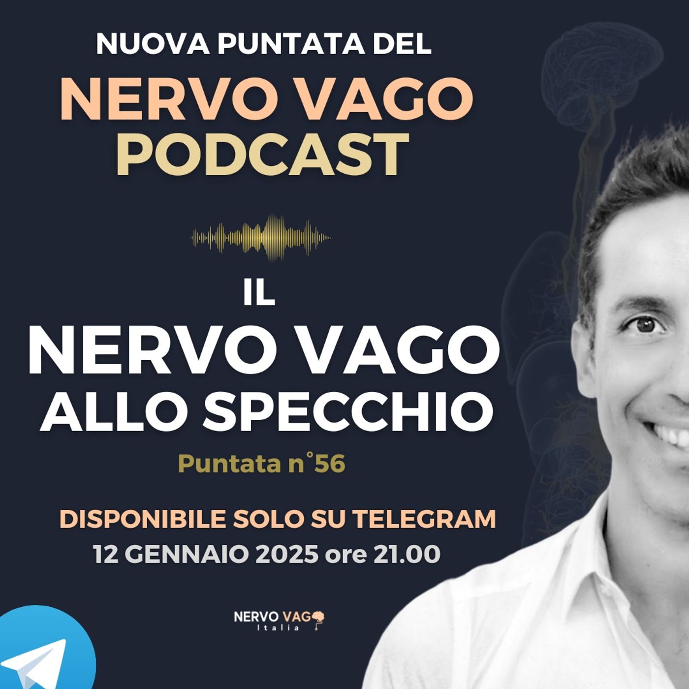 Nervo Vago Podcast