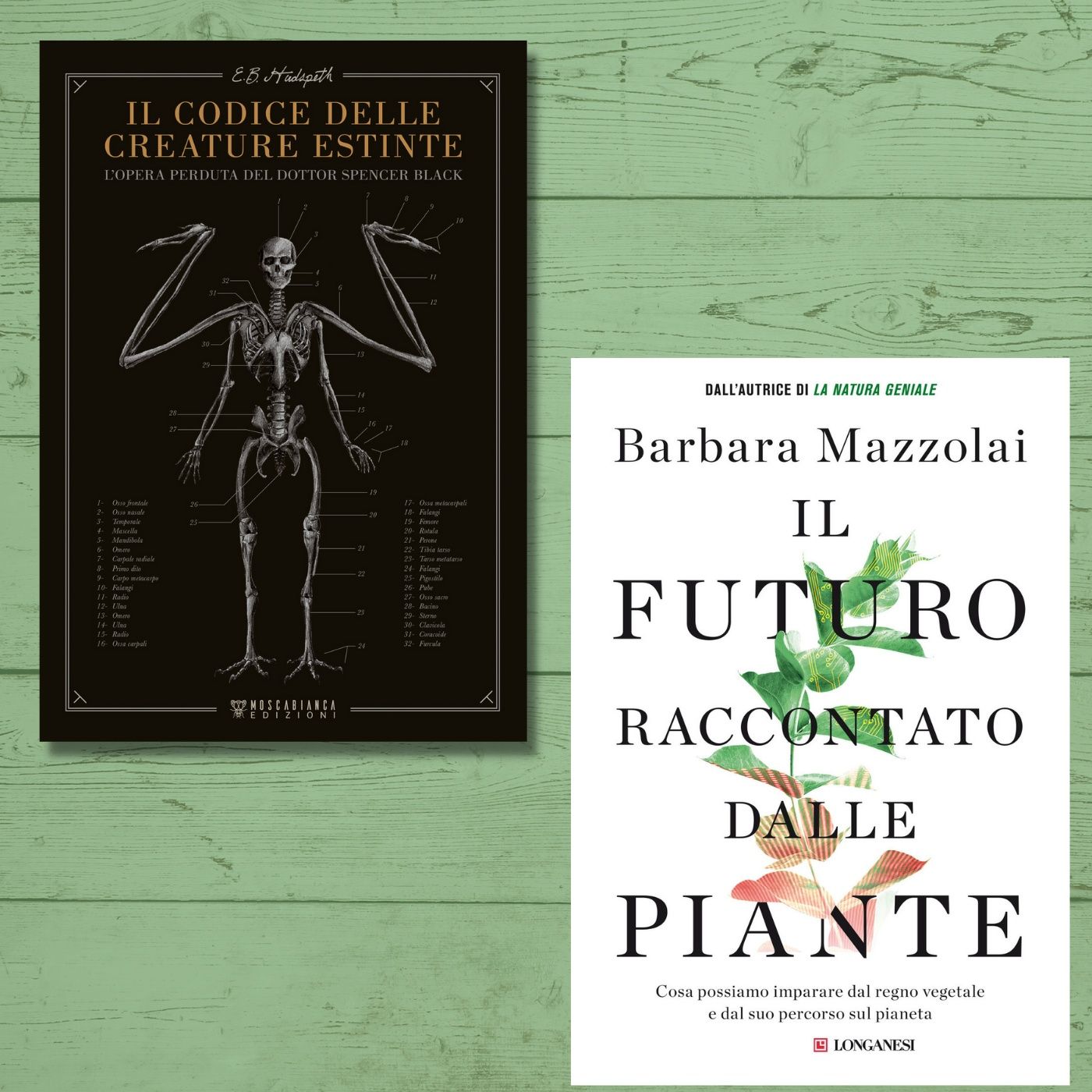 Archivio: Bookblister