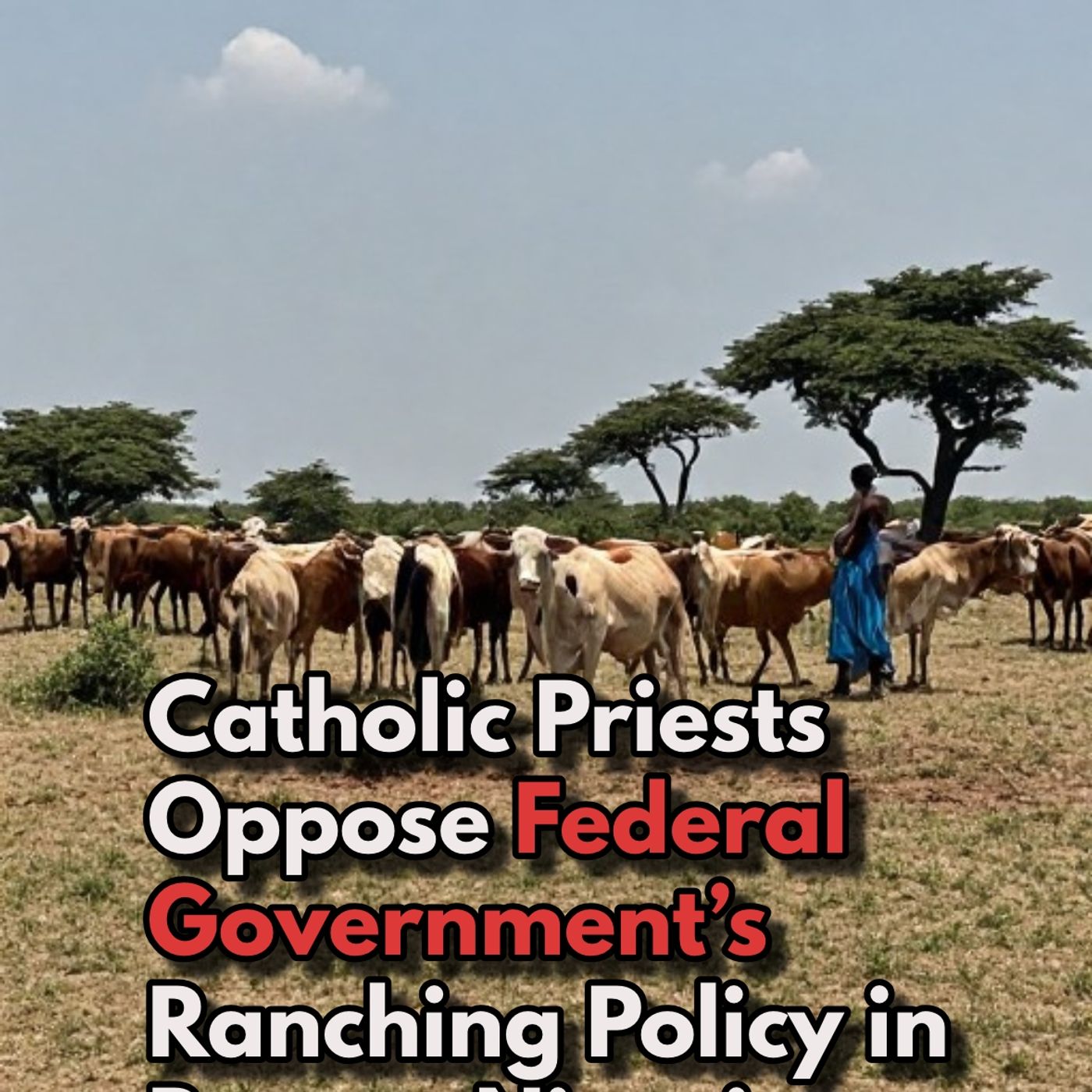 Catholic Priests Oppose Federal Government’s Ranching Policy in Benue, Nigeria. episode artwork
