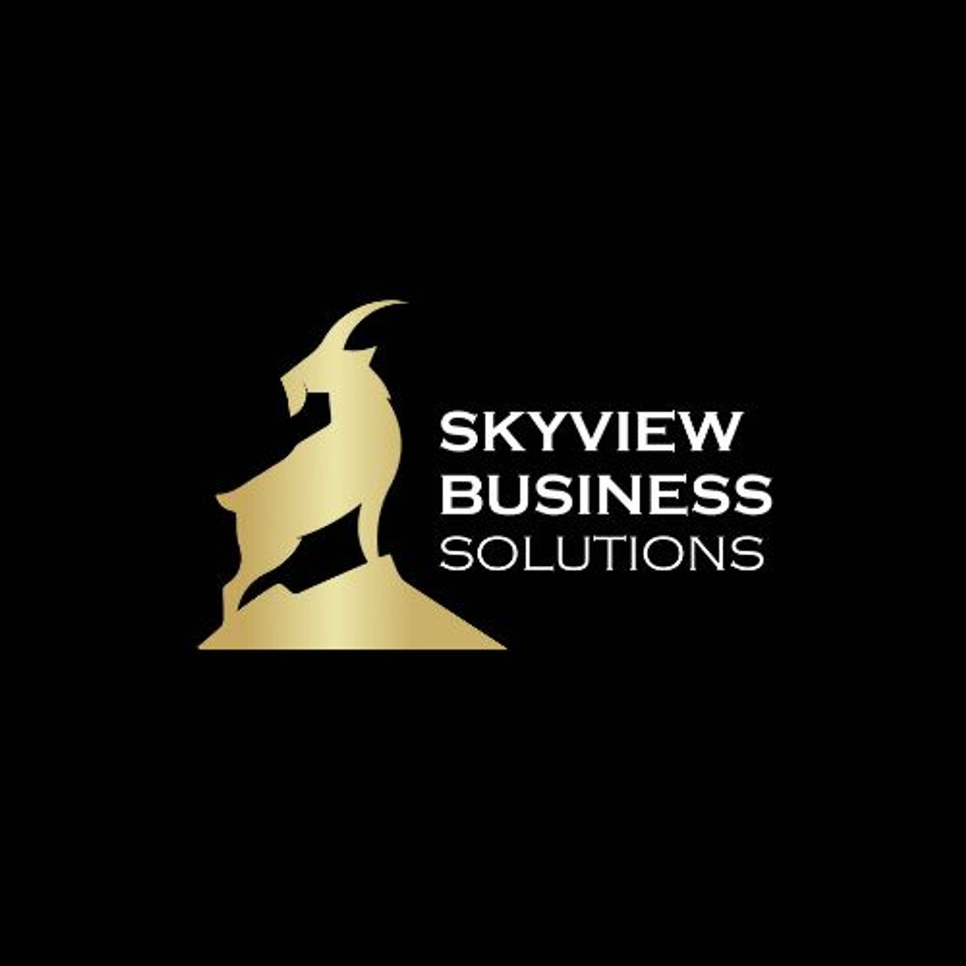 Skyview Business Solutions podcast artwork