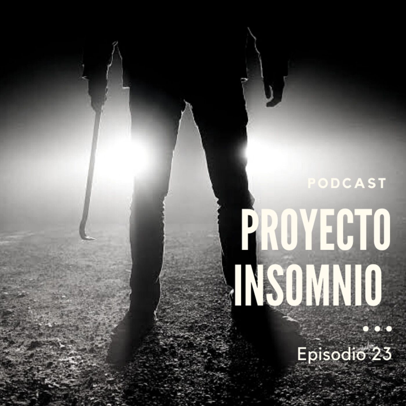 Proyecto Insomnio