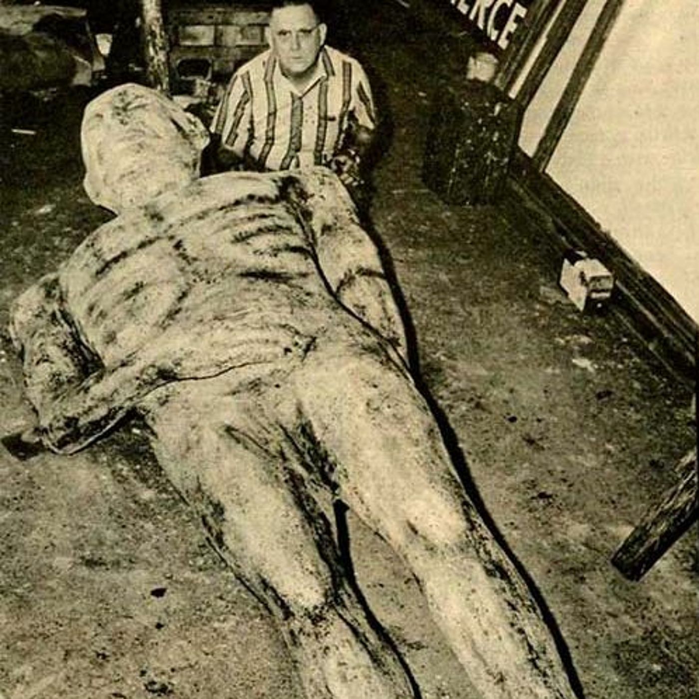 The Cardiff Giant