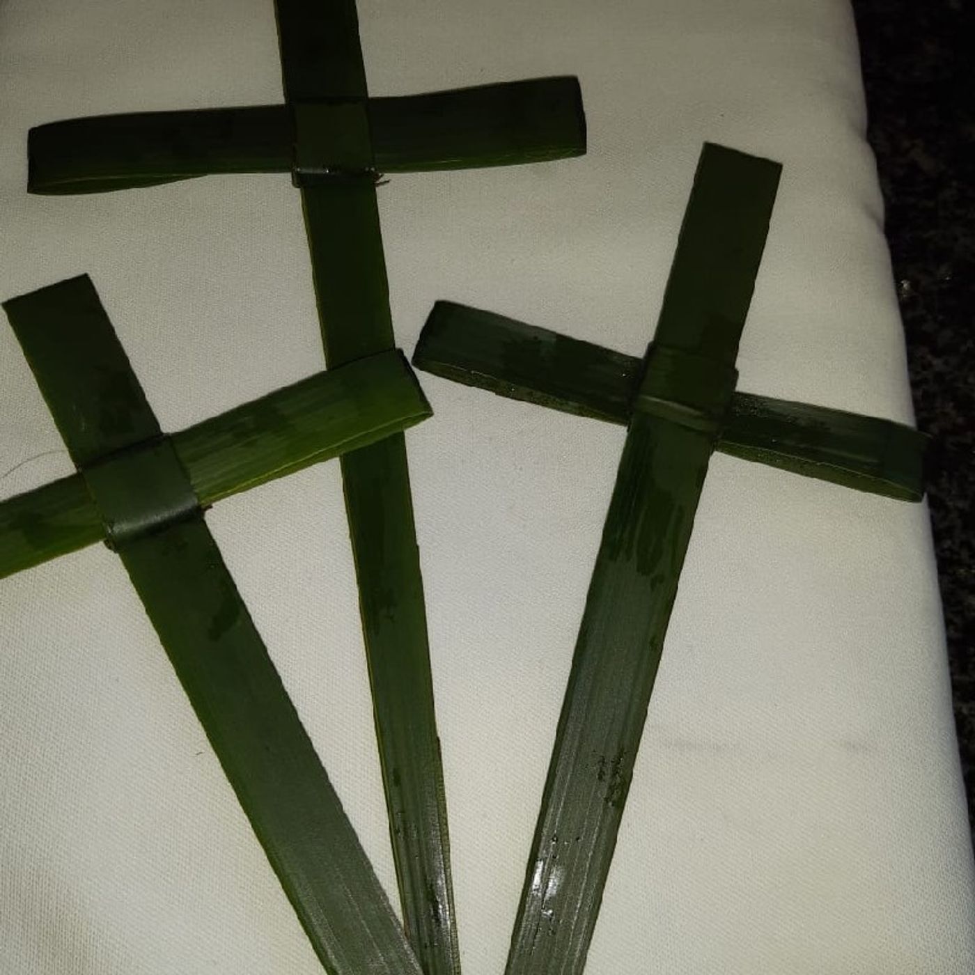 Palm Sunday  2023-Episode 244 - Andrew's podcast