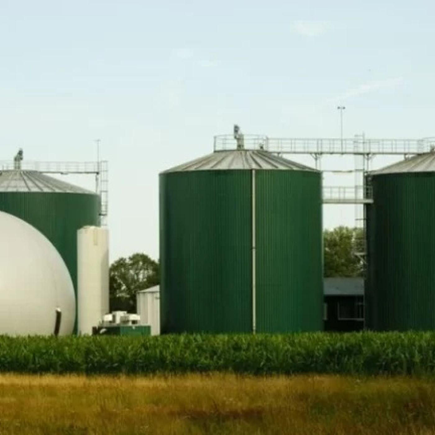 Sustainable Solutions Top Bio CNG Plant Manufacturer in India episode artwork