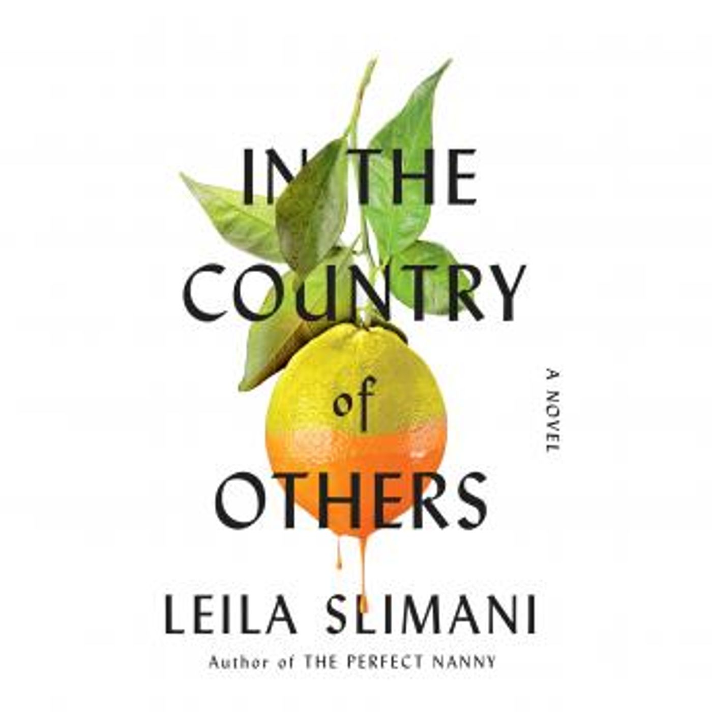 In the Country of Others: A Novel by Leila Slimani episode artwork