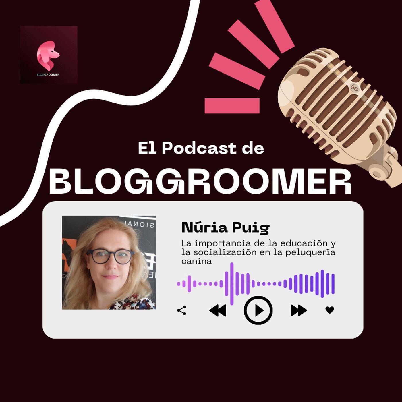 La importancia de la educación y la socialización en la peluquería canina episode artwork