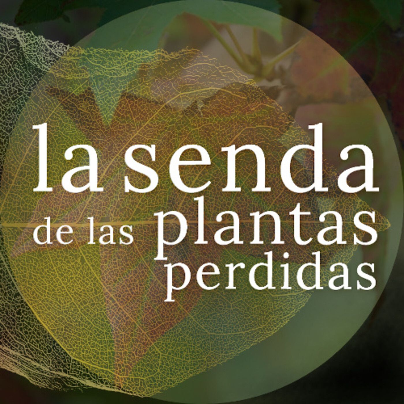 La Senda de las Plantas Perdidas