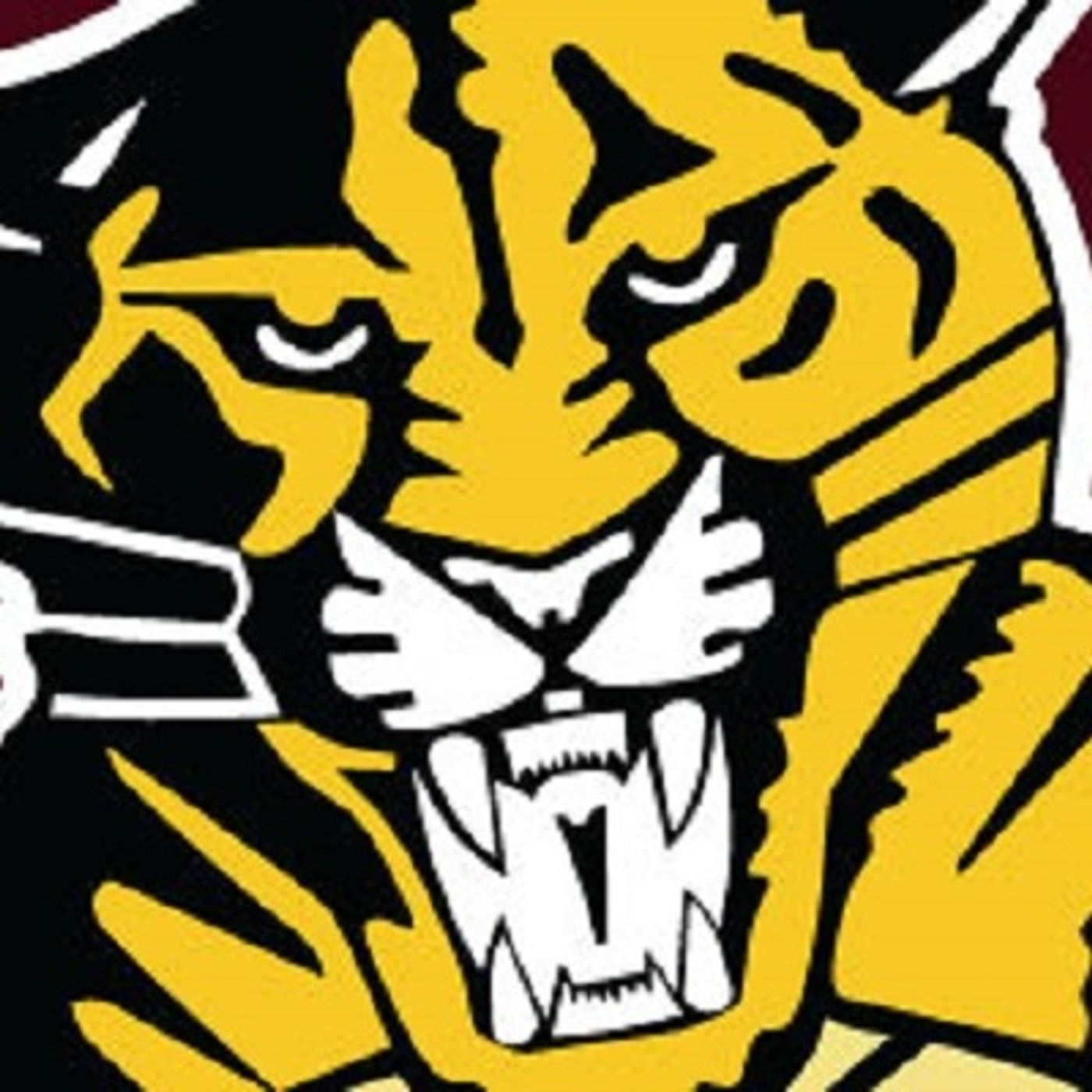 SSS: McKINNON COUGARS USA TOUR BASKETBALL TEAM 261117 episode artwork