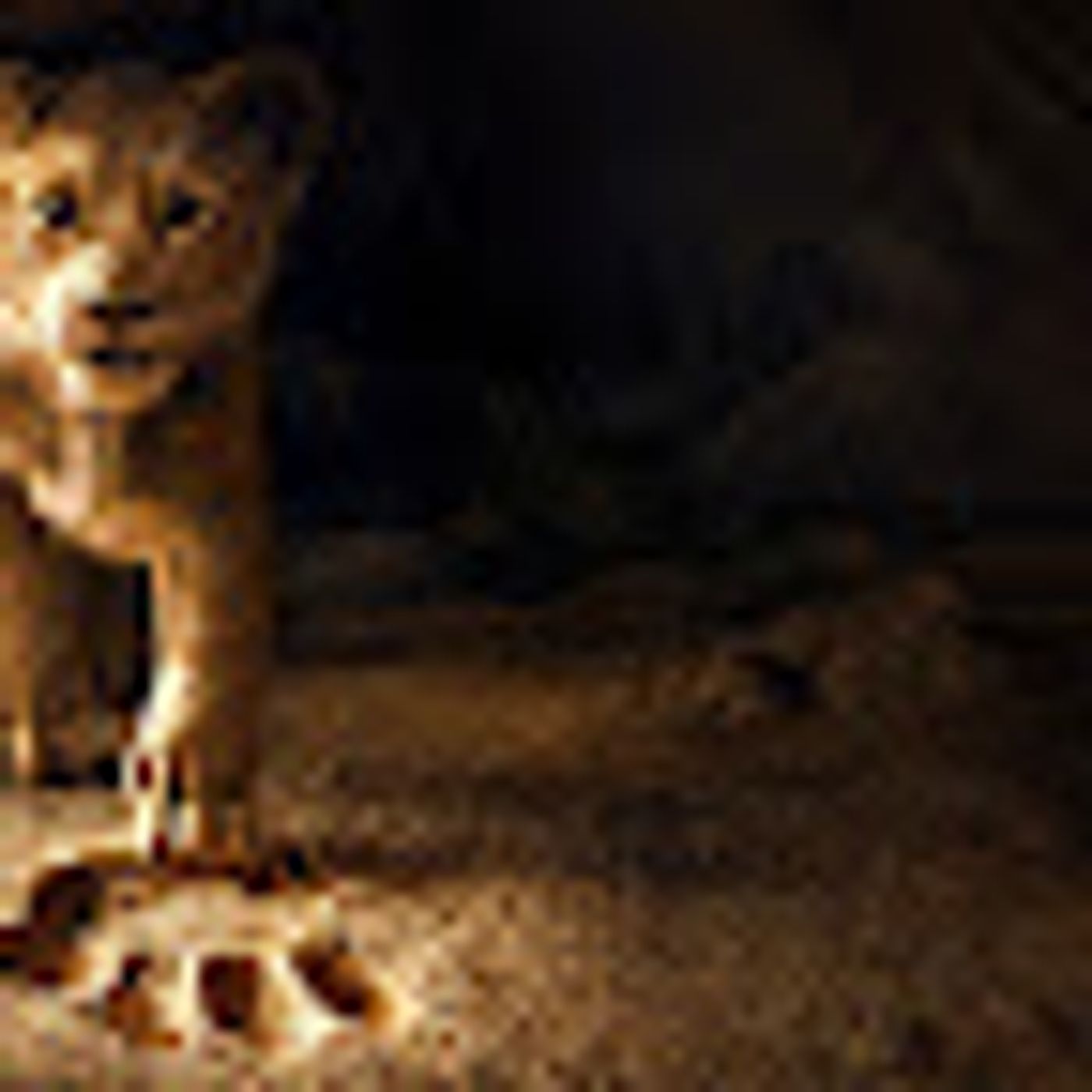 The Breakdown of What We Learned This Summer Movies Season