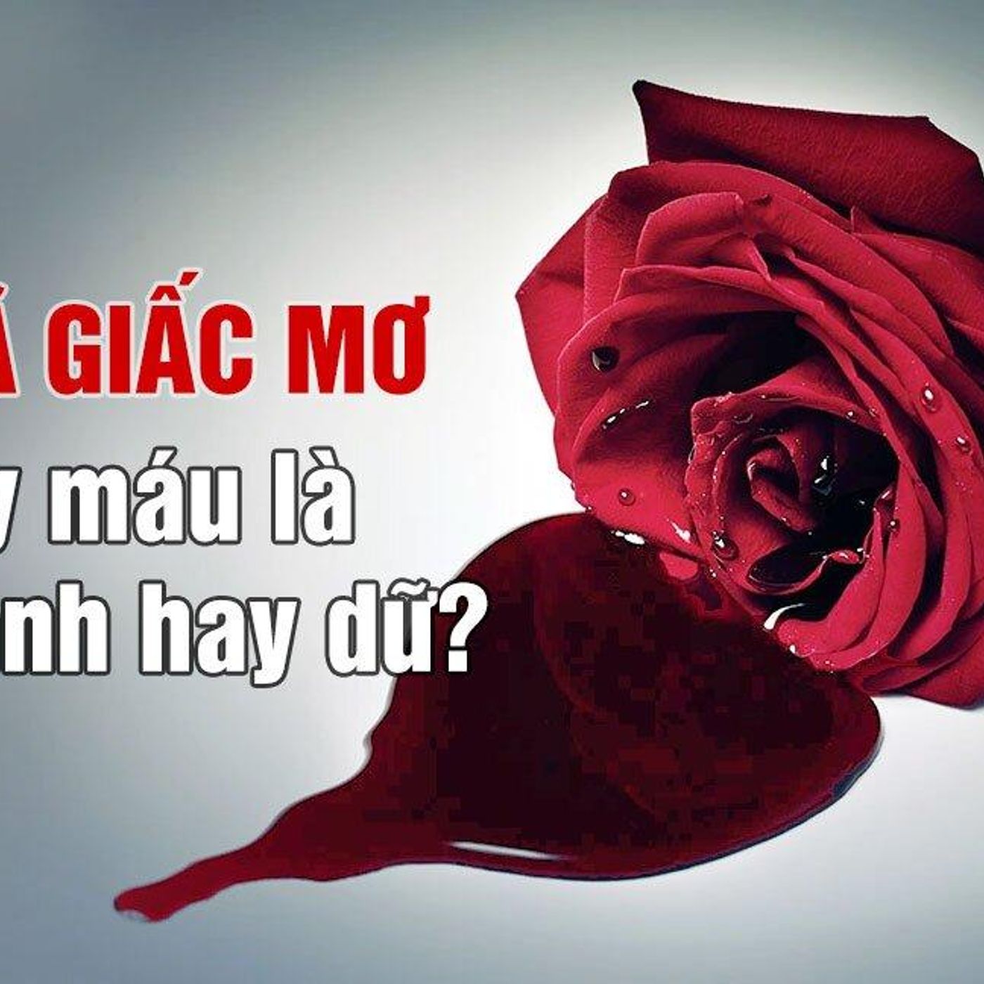 Nằm Mơ Thấy Máu – Bí Ẩn Đằng Sau Giấc Mơ Đầy Màu Sắc episode artwork