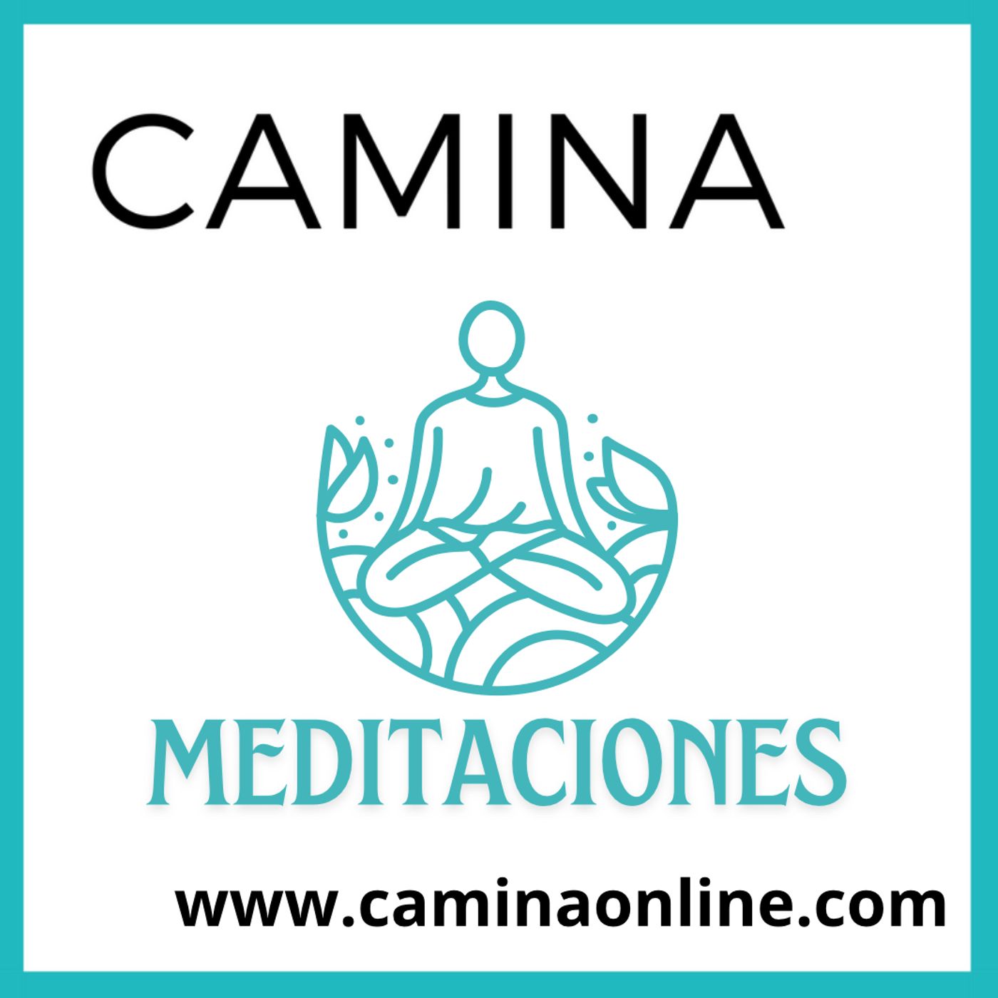 Meditaciones Camina