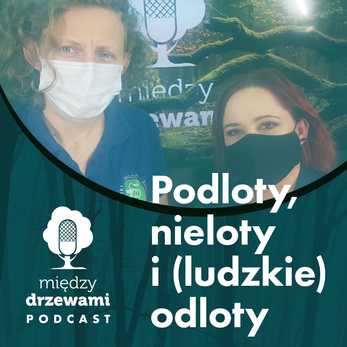 Między Drzewami Podcast