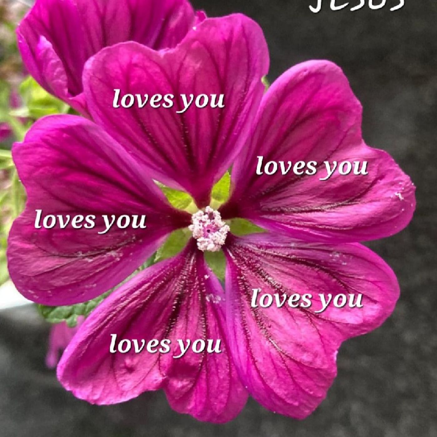 Kathleen_InChrist\'s New Life