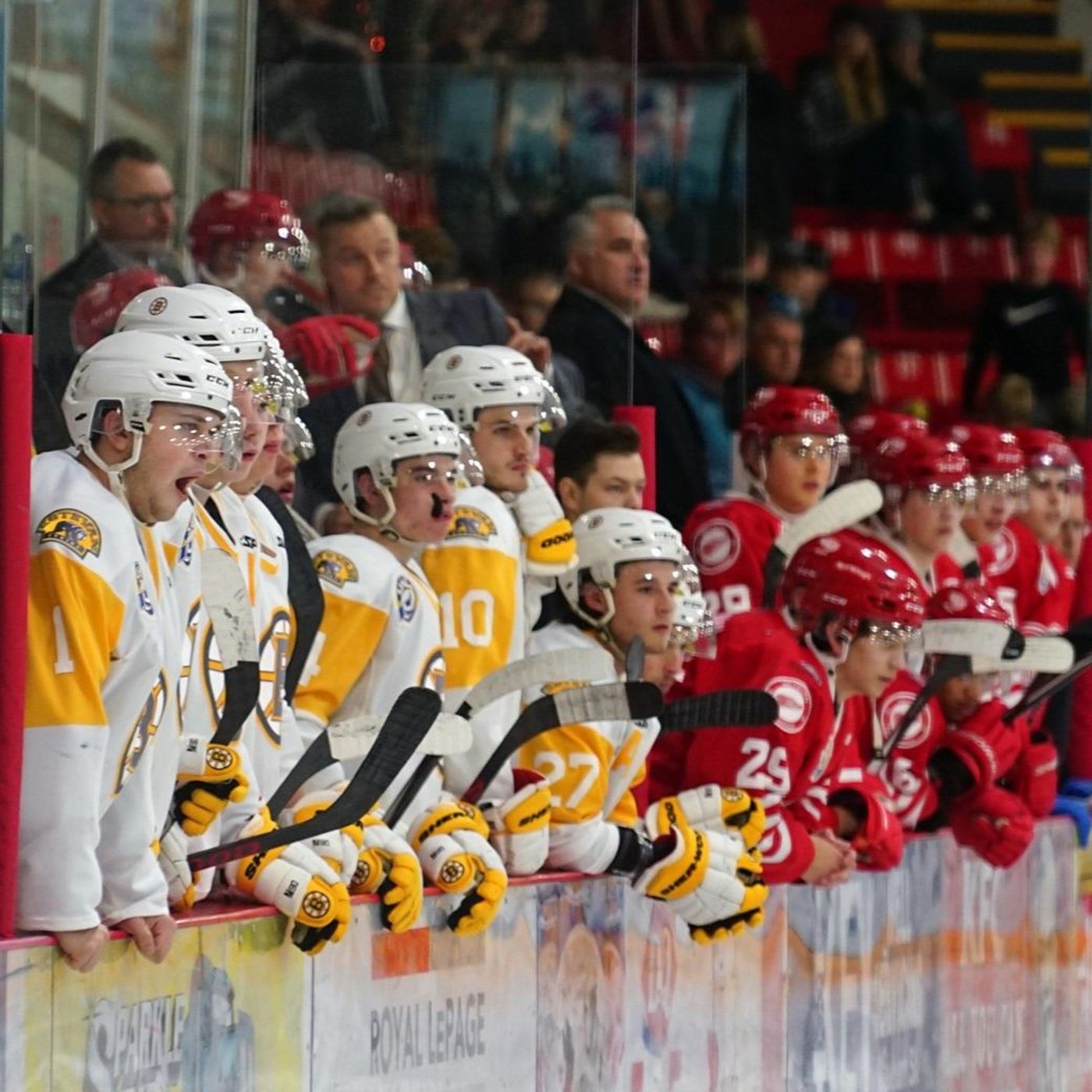 SJHL Reporters