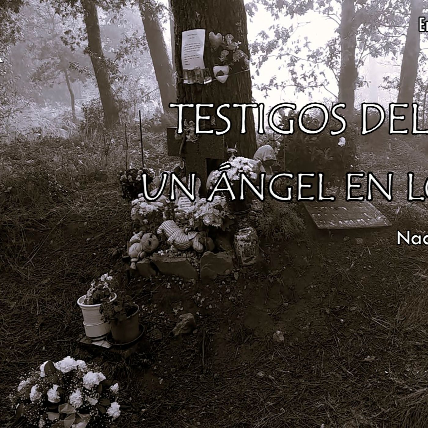 SOMOS ENIGMA