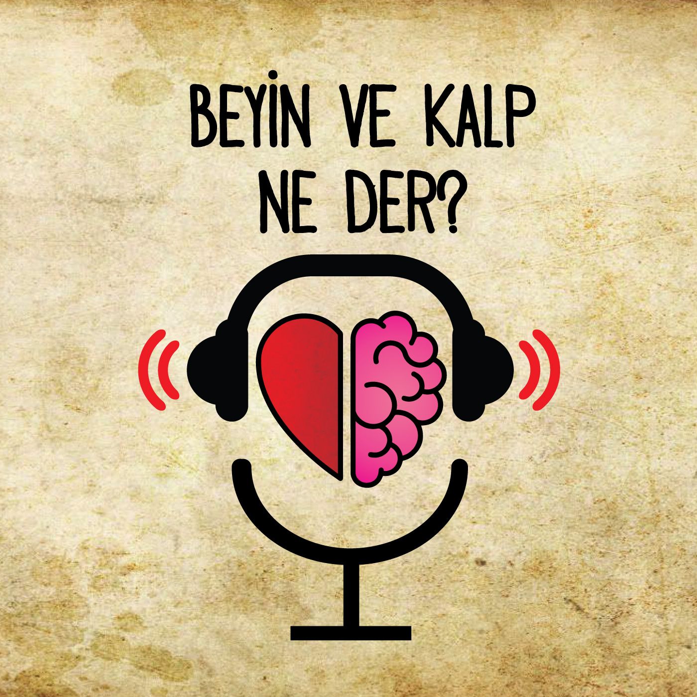 Beyin ve Kalp Ne Der?