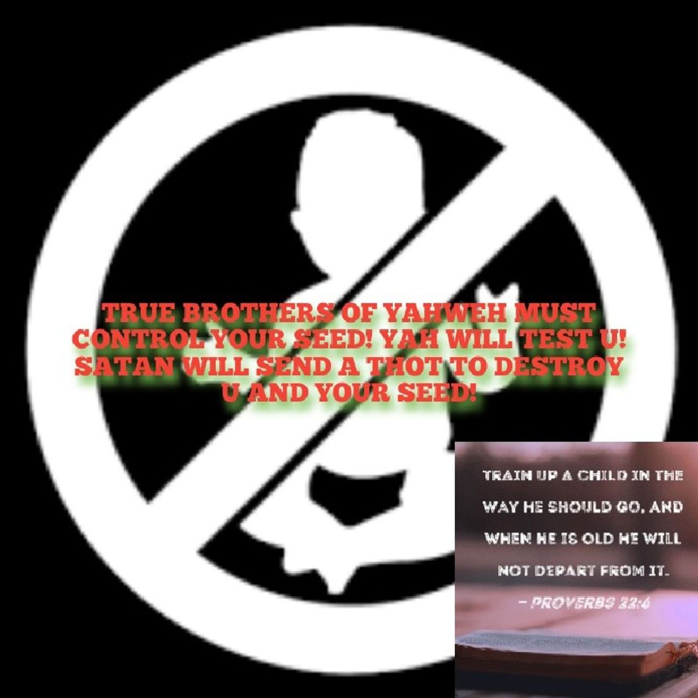 P.1-TRUE BROTHERS OF YAHWEH MUST CONTROL YOUR SEED! YAH WILL TEST U!SATAN WILL SEND A THOT TO DESTROY U AND YOUR SEED! episode artwork