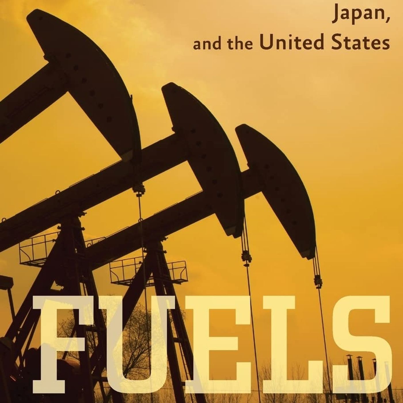 Fuels Paradise: Seeking Energy Security in Europe, Japan, and the United States