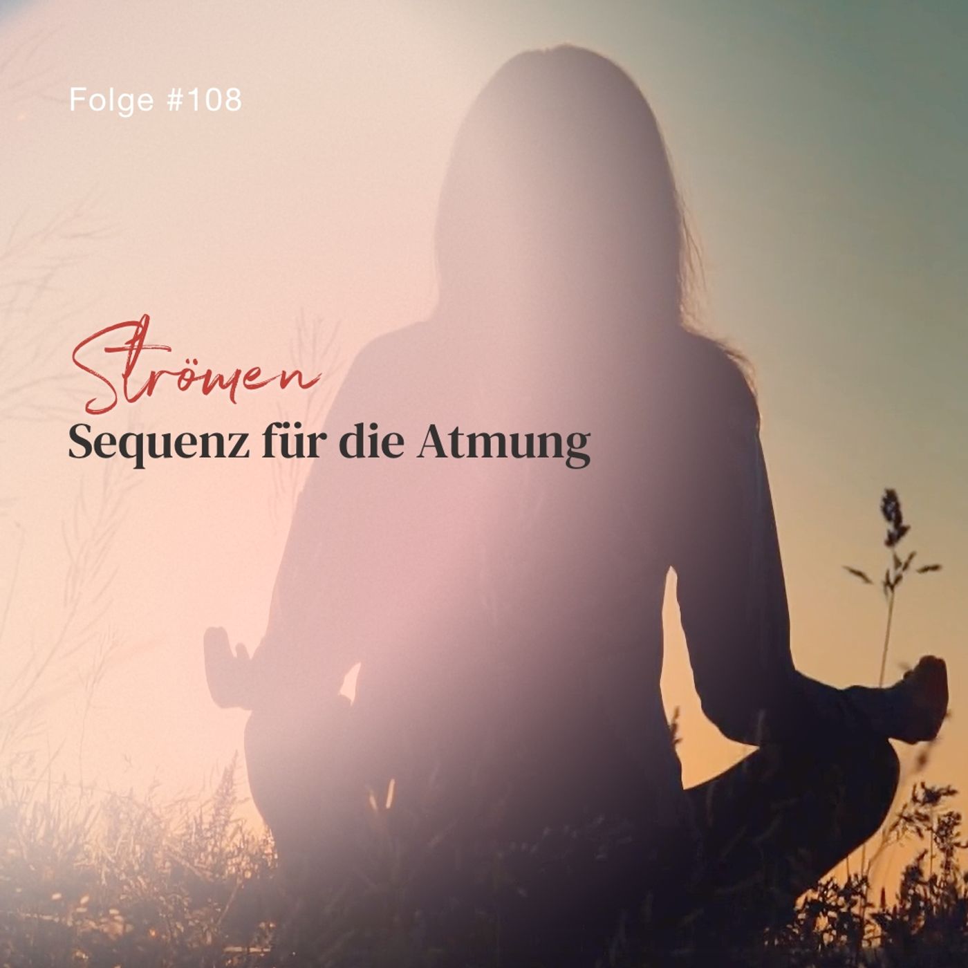 Strömsequenz für die Atmung | ca. 18 Min | Folge 108 episode artwork