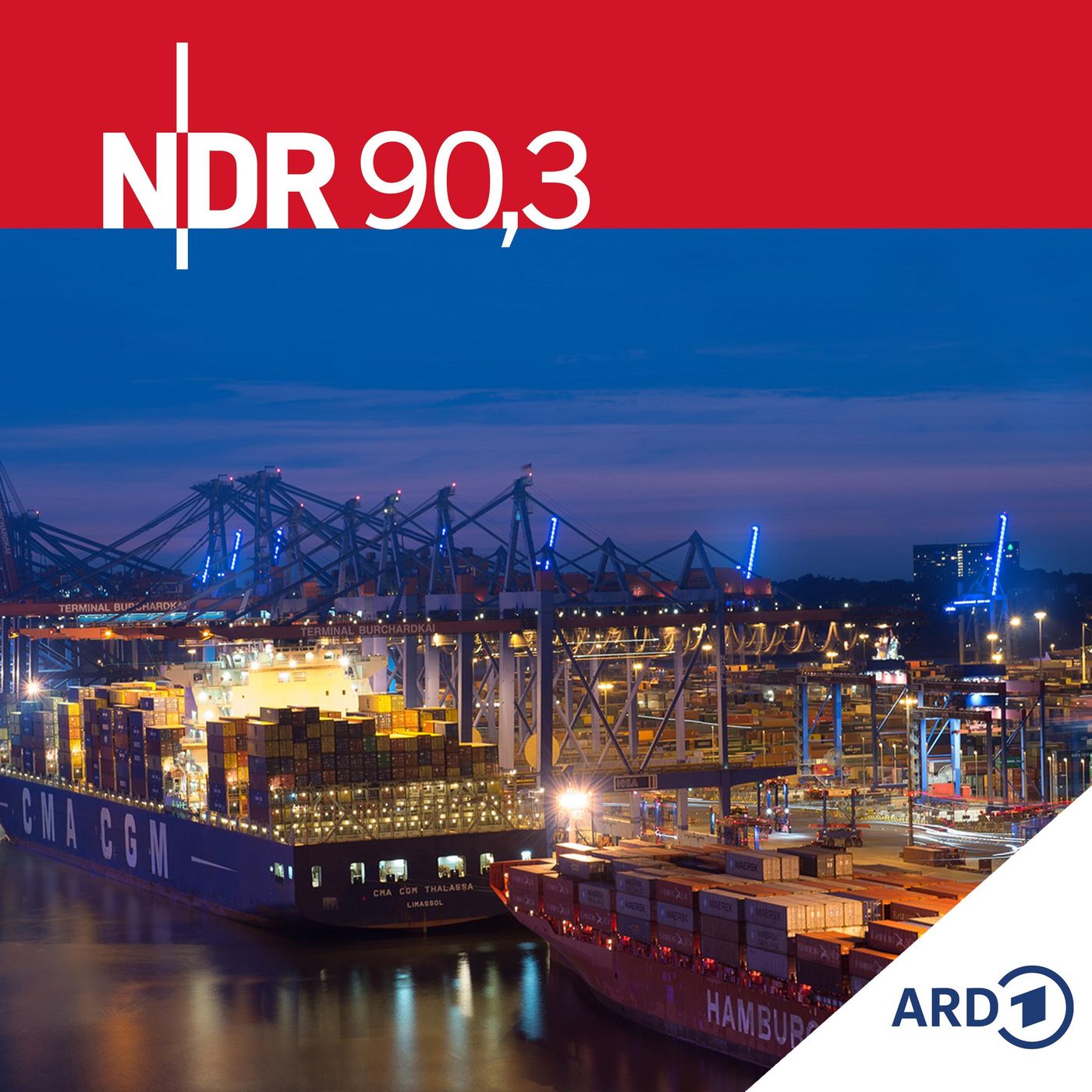 NDR 90,3 Aktuell episode artwork