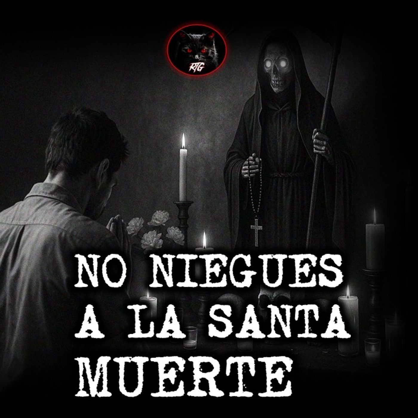 Relatos de Terror del Gato