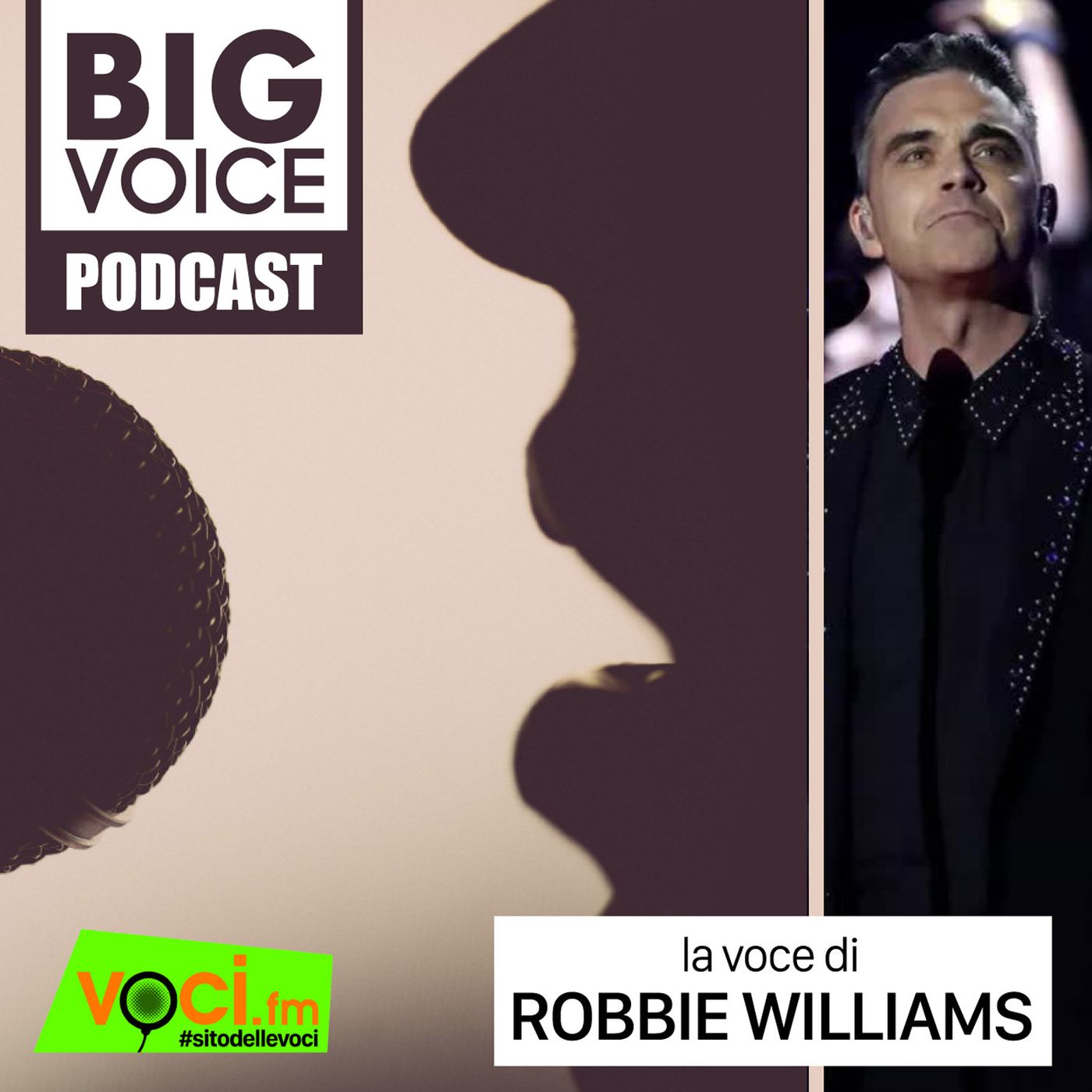 BIG VOICE PODCAST: Robbie Williams - clicca play e ascolta il podcast episode artwork