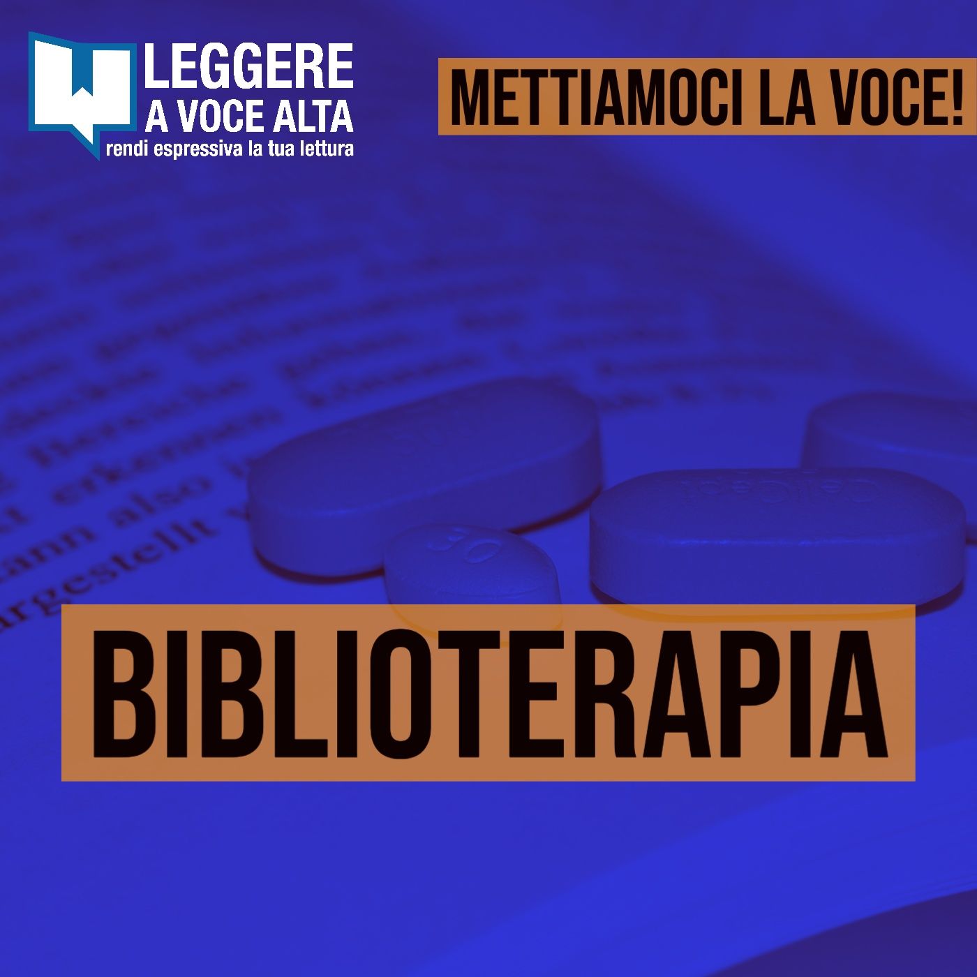 Mettiamoci la Voce