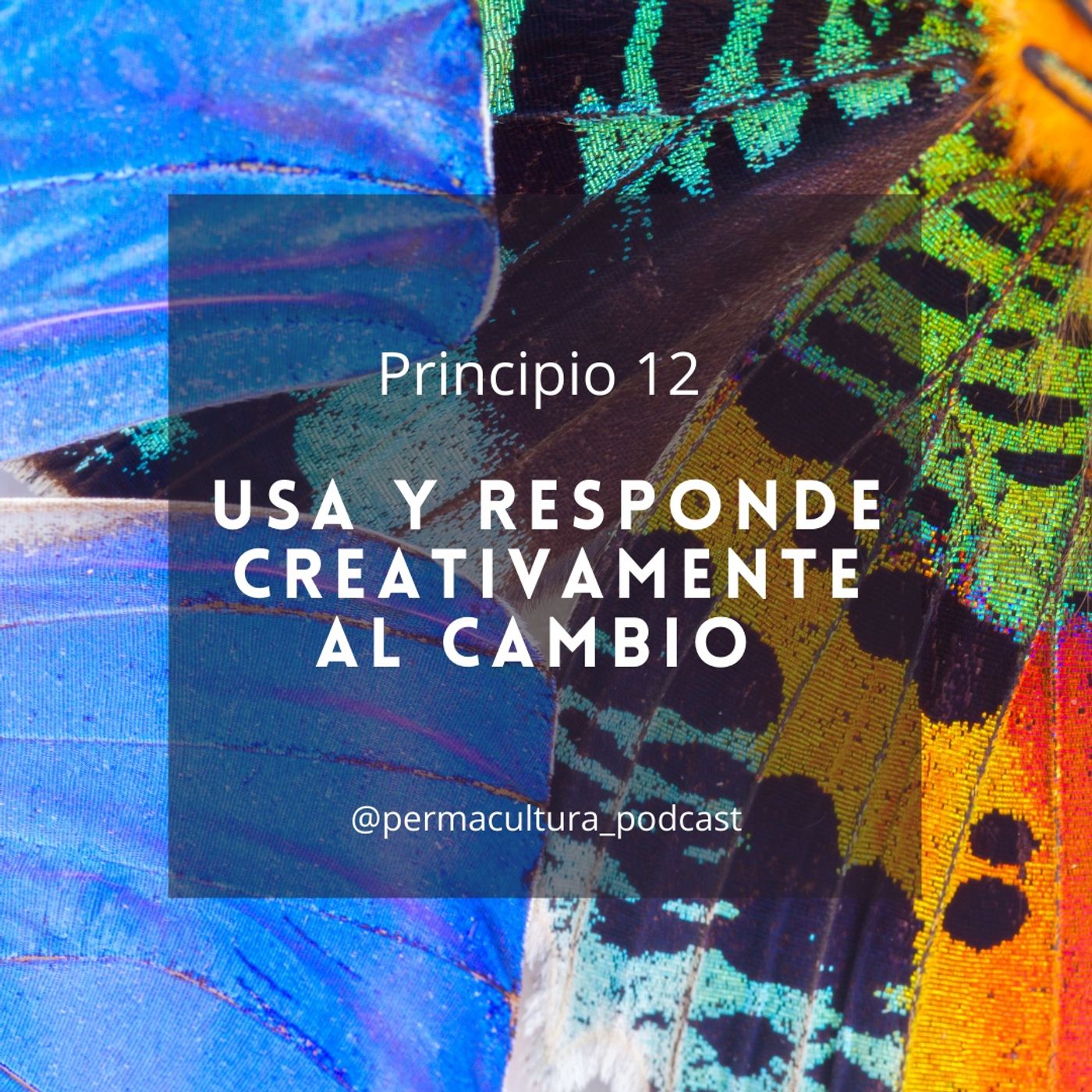 Permacultura Podcast