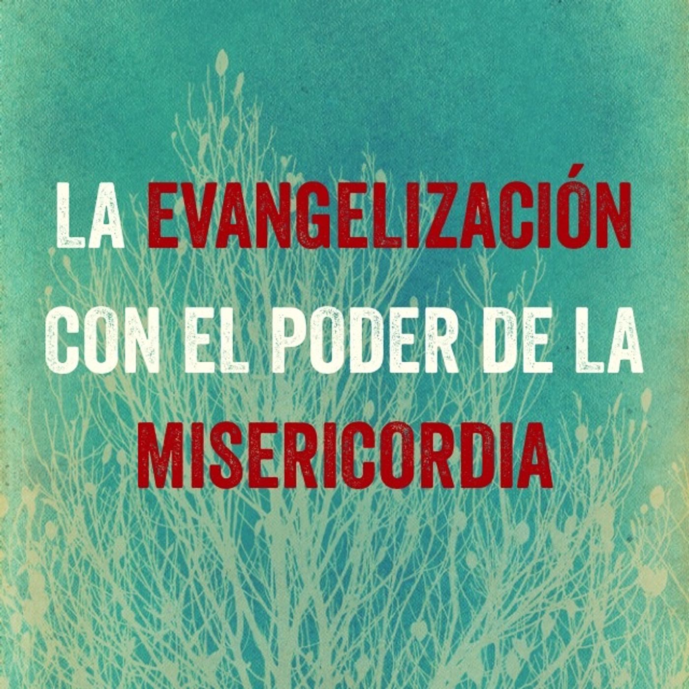 Reflexiones
