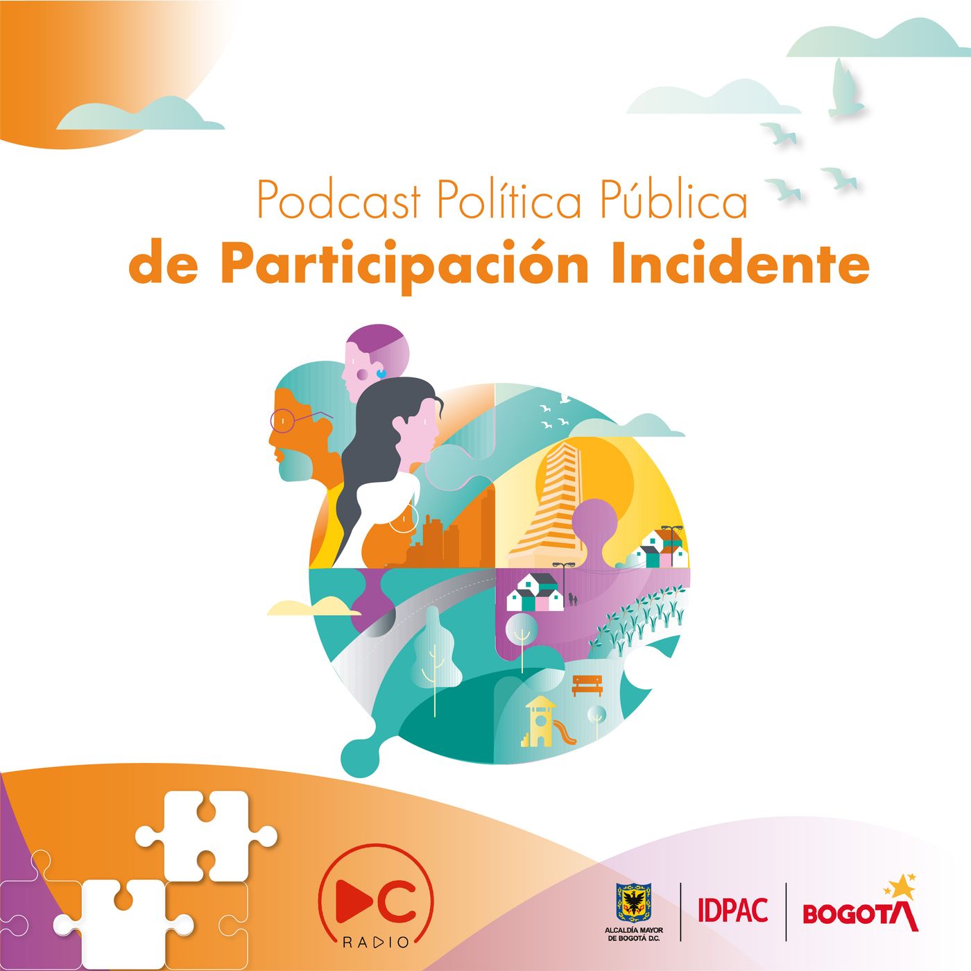 Política Pública Participación incidente cover art