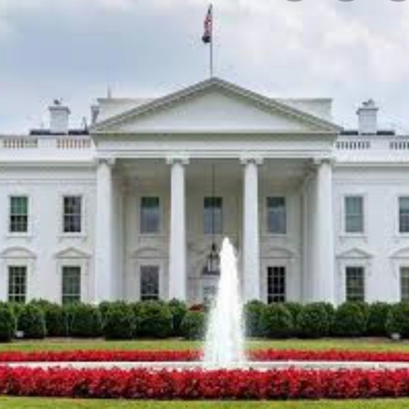 2020 Road to The White House