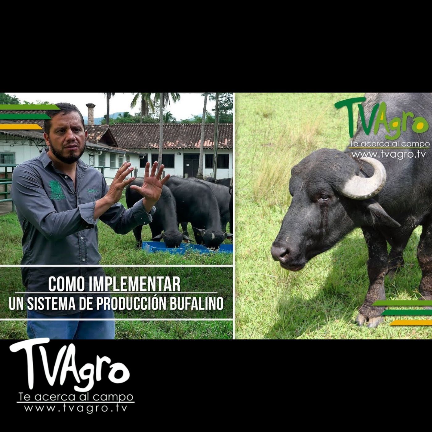TV AGRO