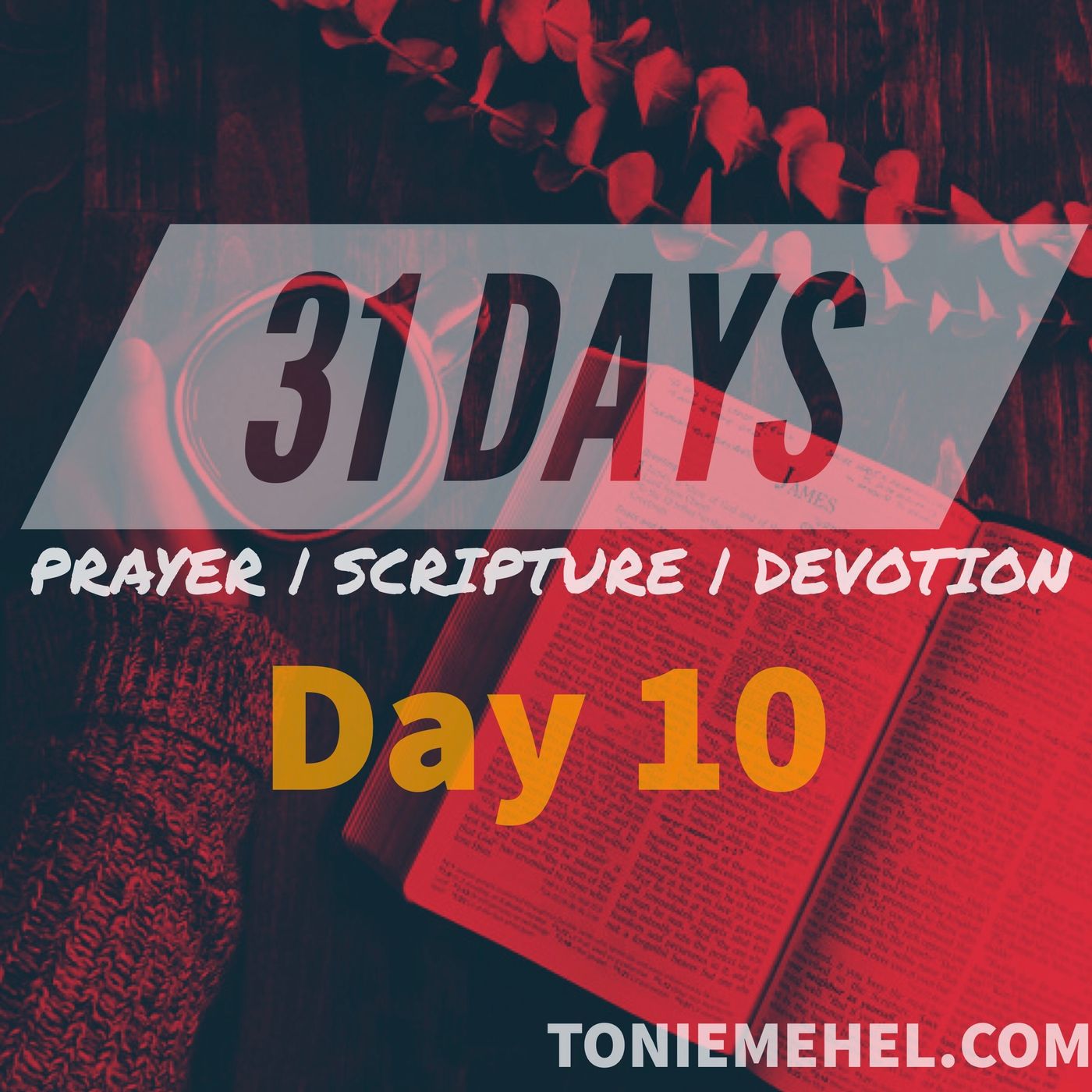 31 Days of Prayer, Scripture and Devotion | The Most Important Thing episode artwork