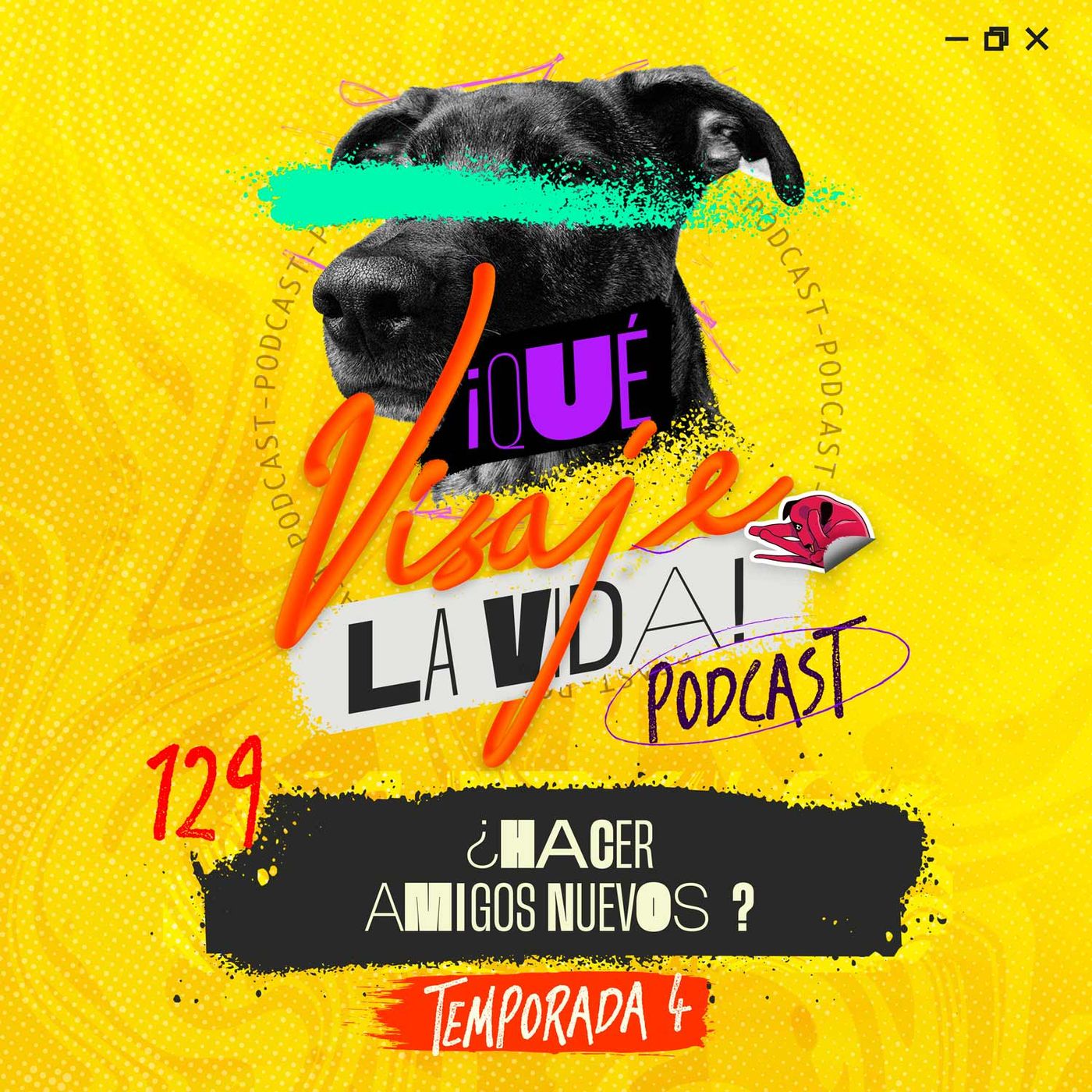 Aprenda a hacer nuevos amigos Ft Royal Enfield