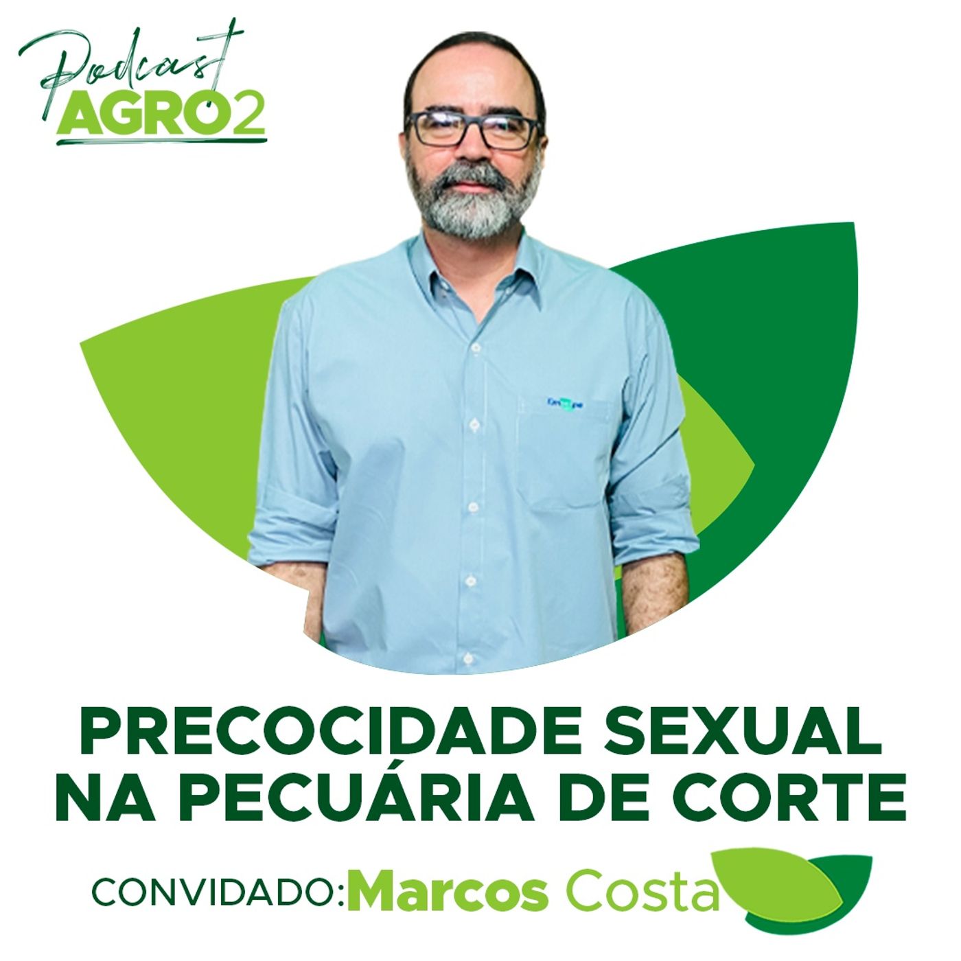 Precocidade sexual de bovinos: genética, manejo e nutrição garante reprodução em menos tempo #221 episode artwork