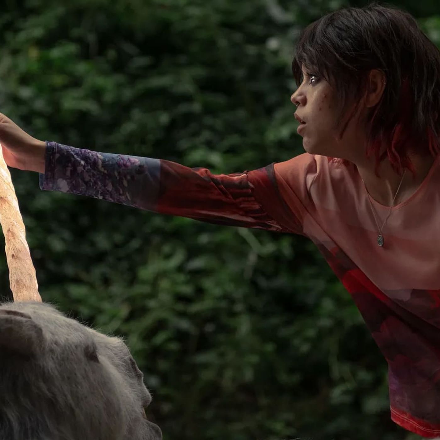 Estrenos en plataformas: Sátira social, Rebel Wilson salva una boda y Naomi Watts cuida al perro de Bill Murray