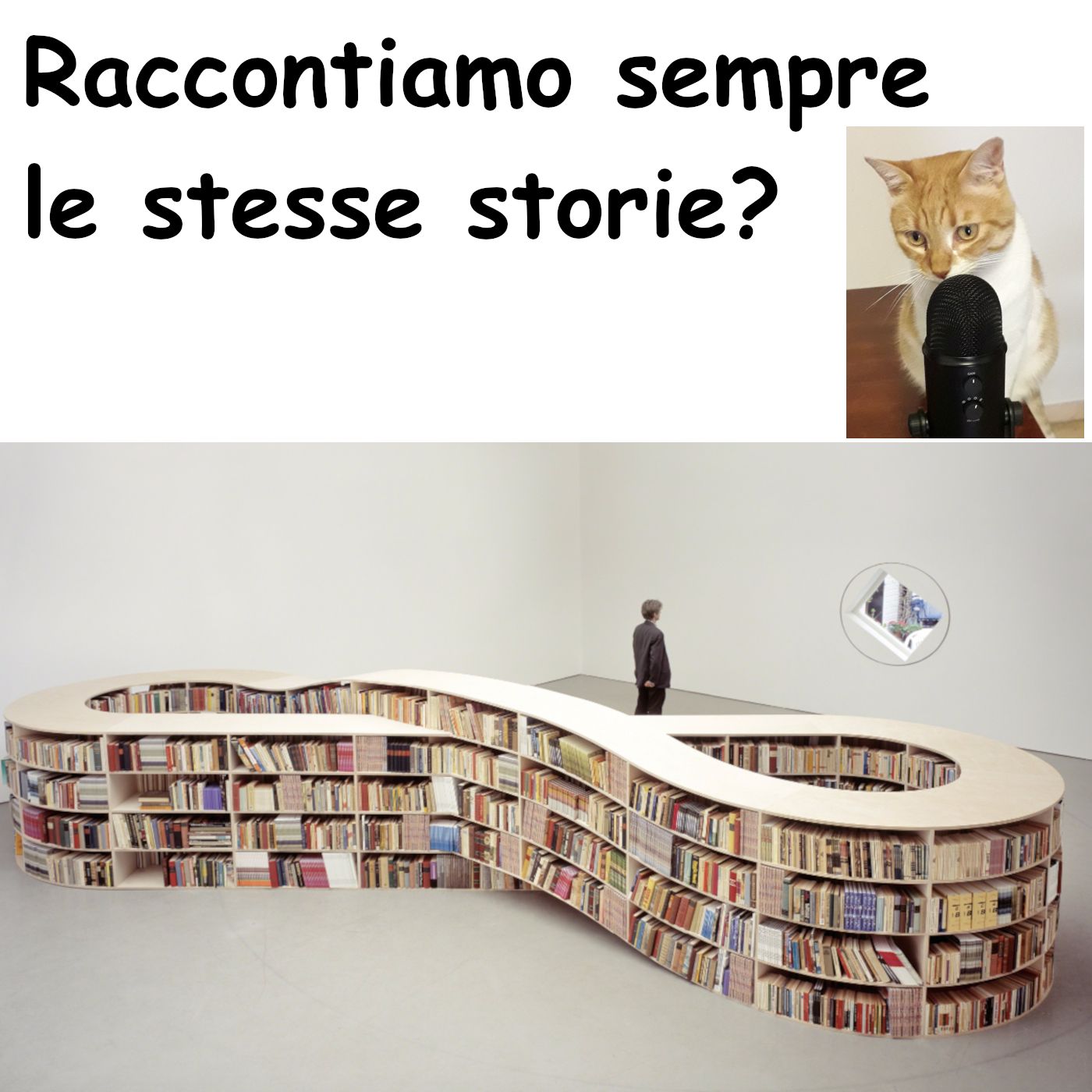 La biblioteca del gatto rosso