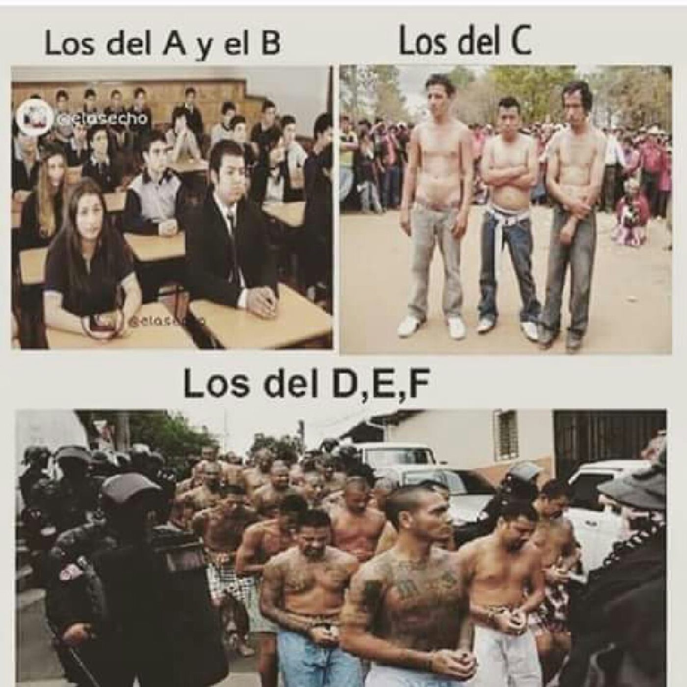 Tomas Escamilla Hernandez's show