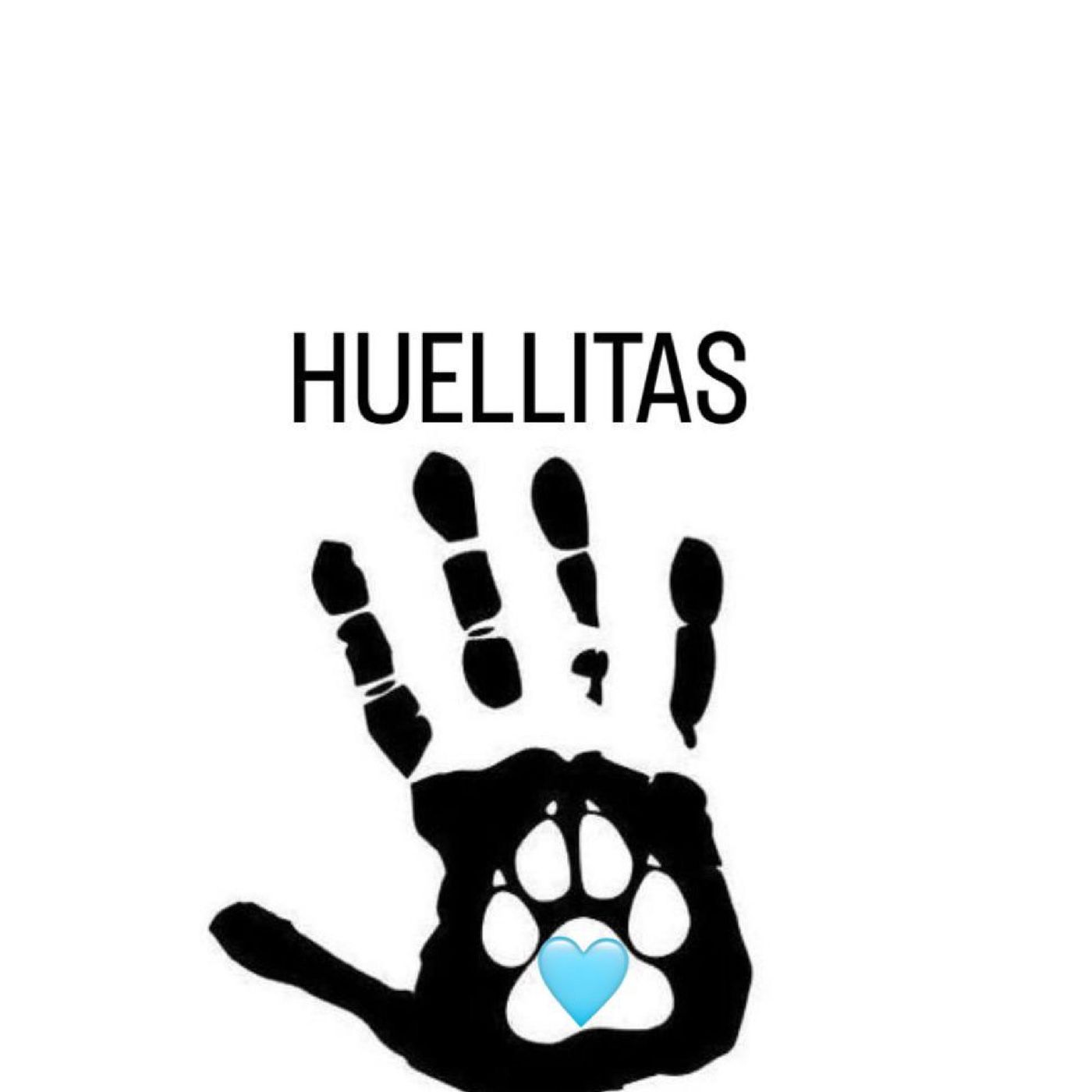 El podcast de Sala Turquesa- Jardin 907