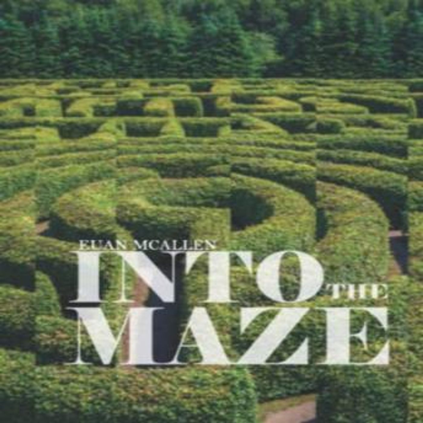 Into the Maze by Euan Mcallen episode artwork